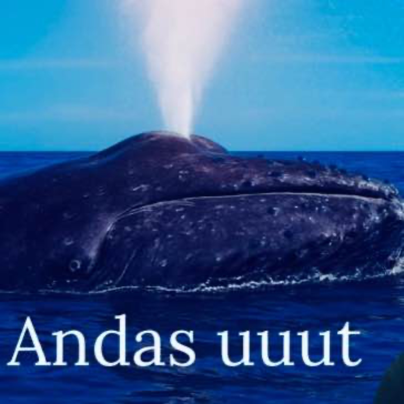 Andas uuut