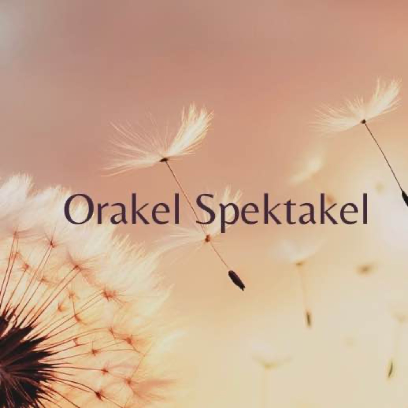 Gästavsnitt: Evigh3t3n