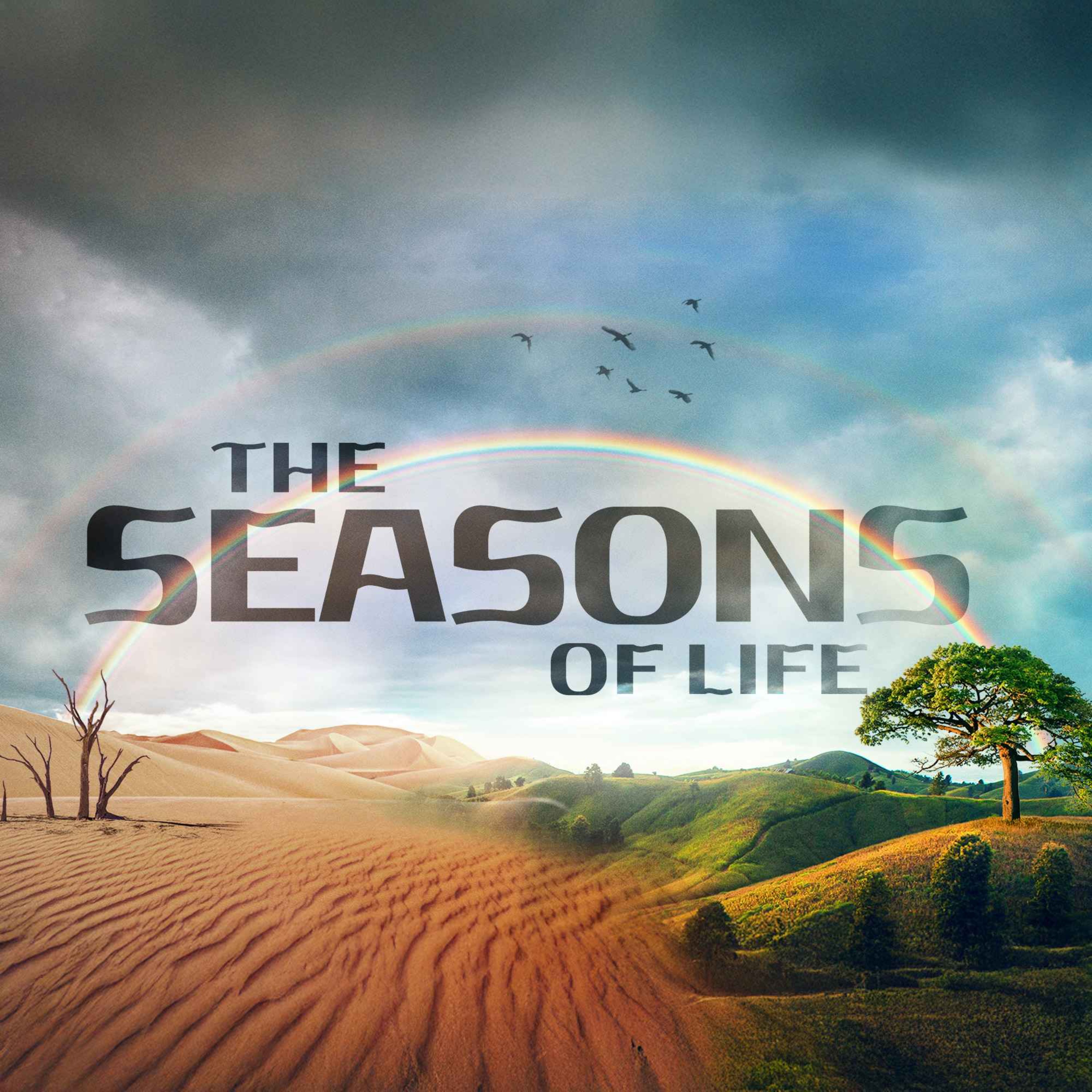 Seasons of Life | Pastor Walker Schurz episode artwork