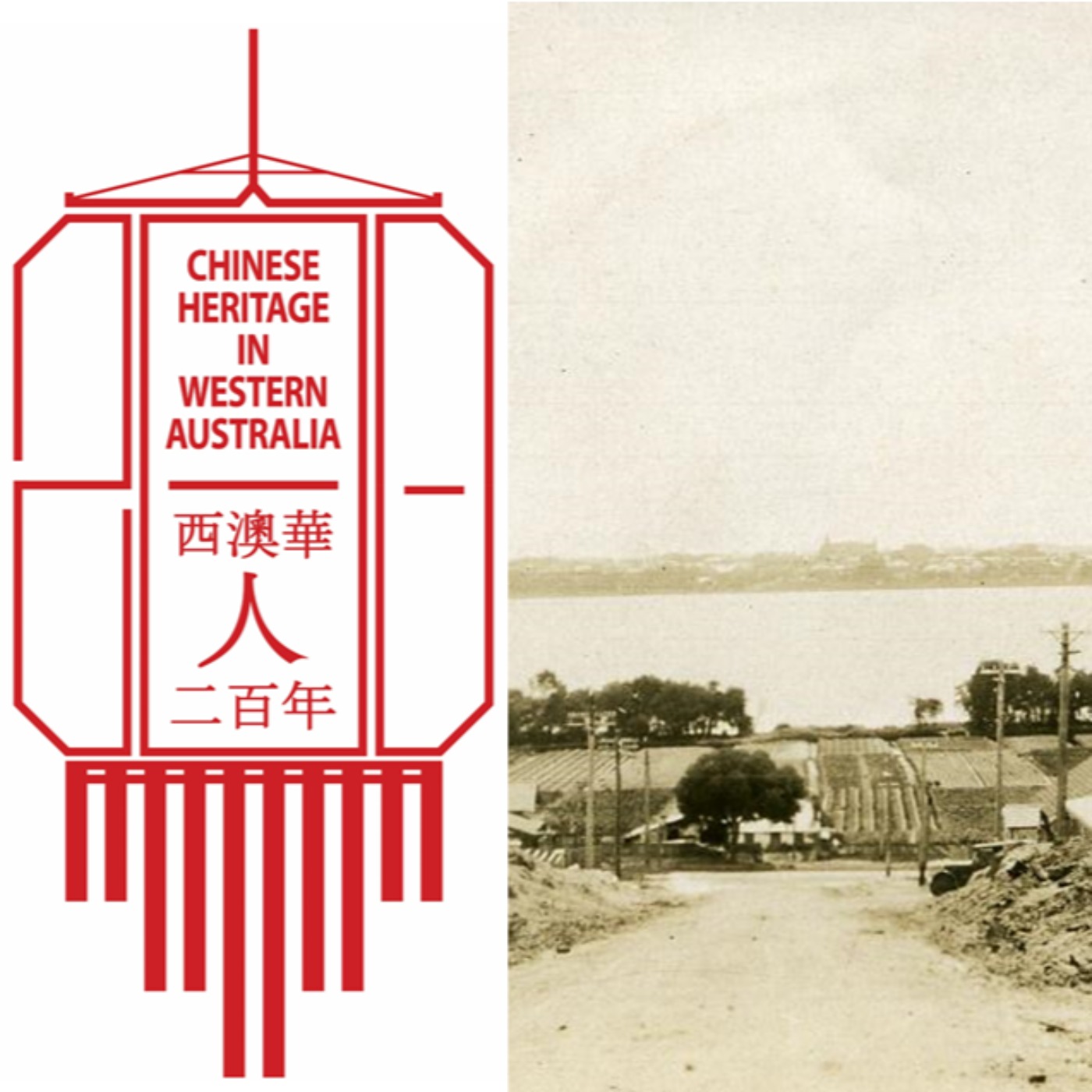Chinese Market Gardens episode artwork
