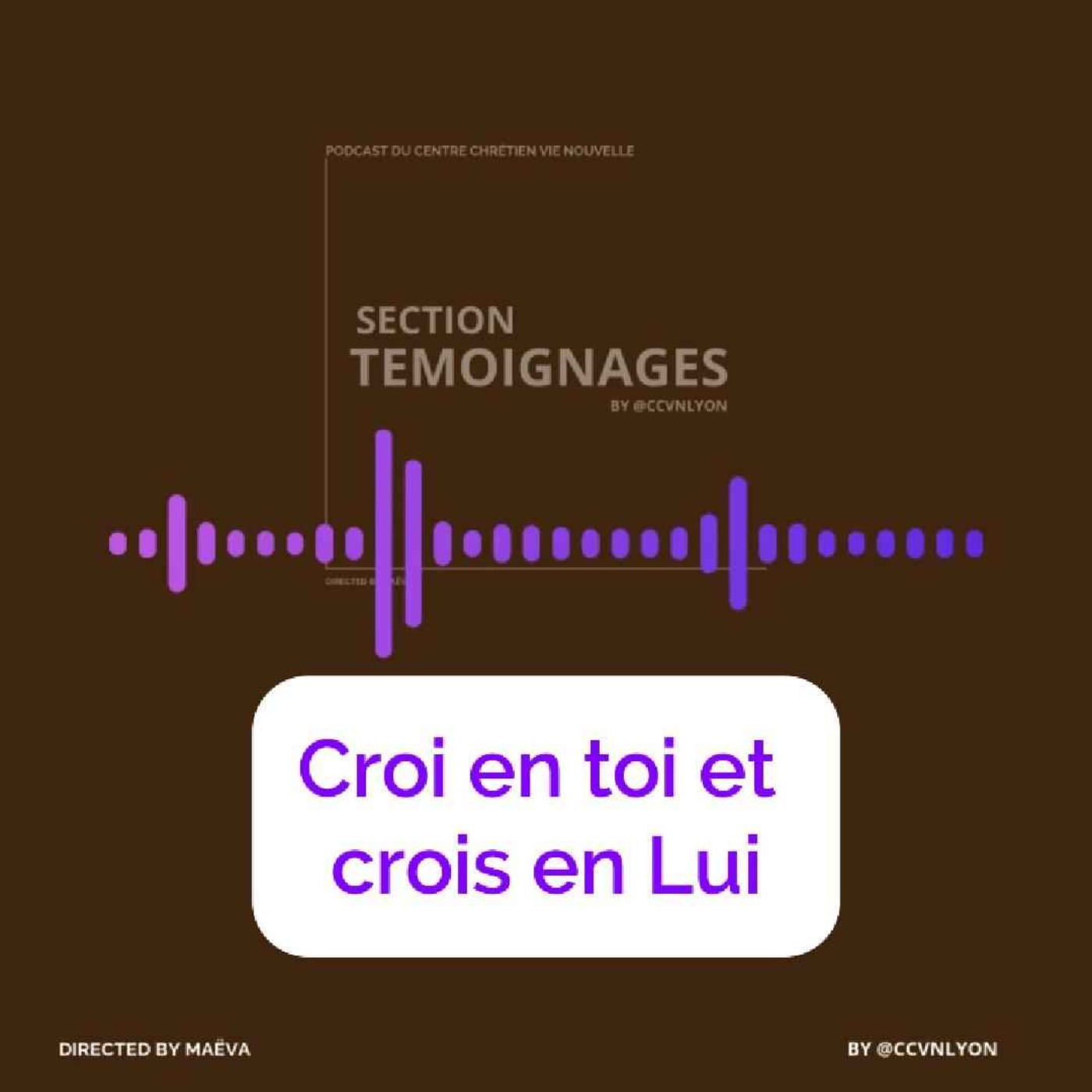 Section Témoignage by CCVN Lyon