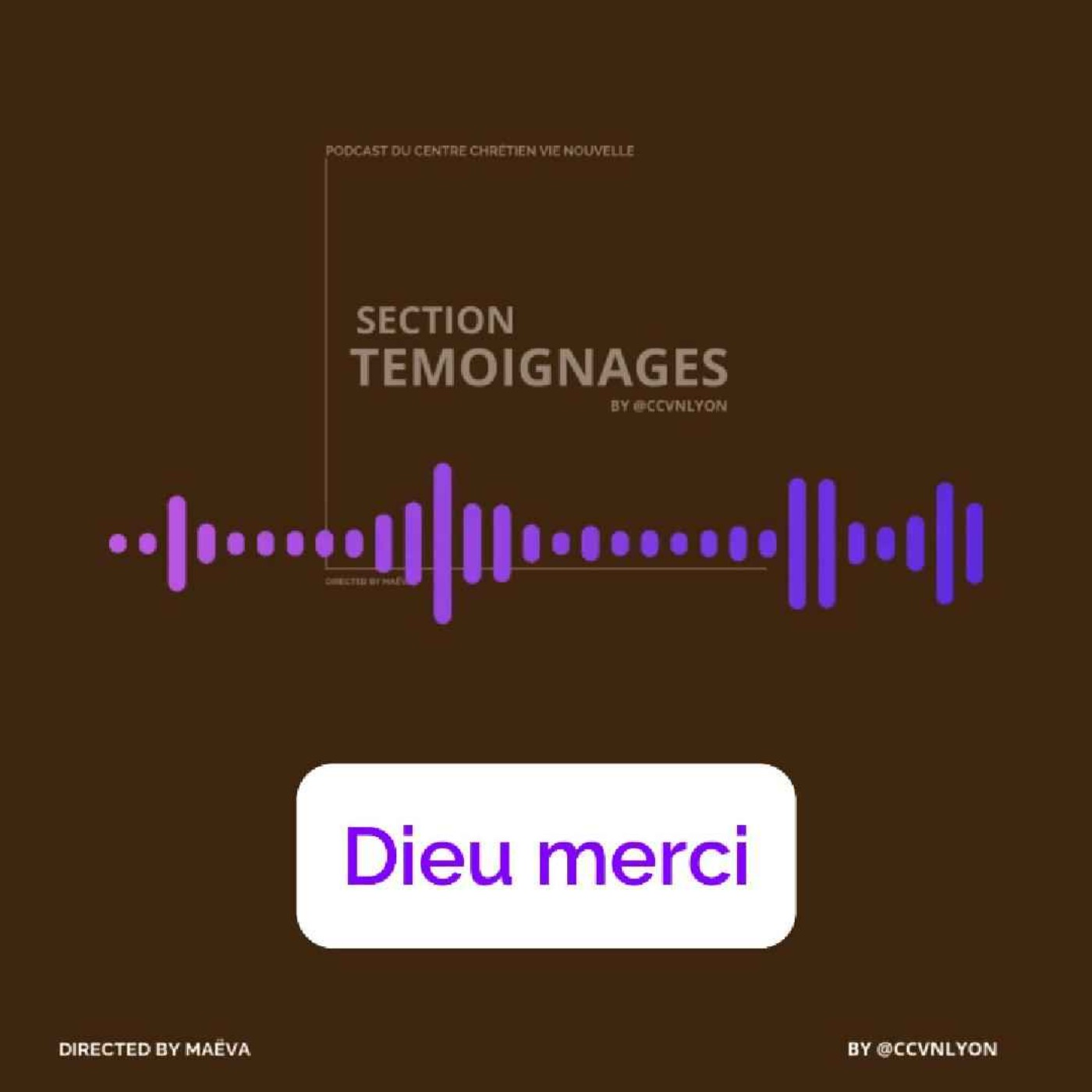 Section Témoignage by CCVN Lyon