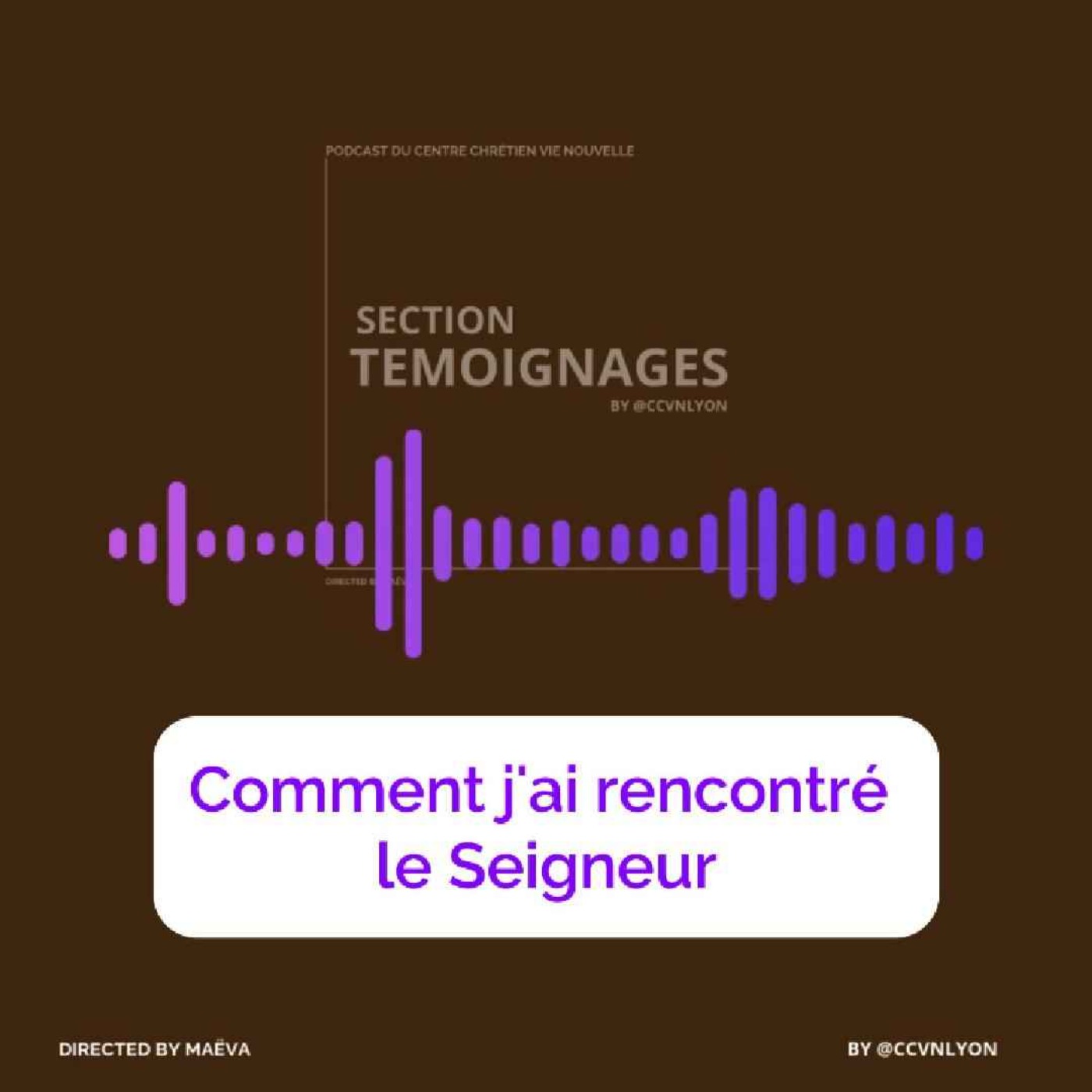 Section Témoignage by CCVN Lyon
