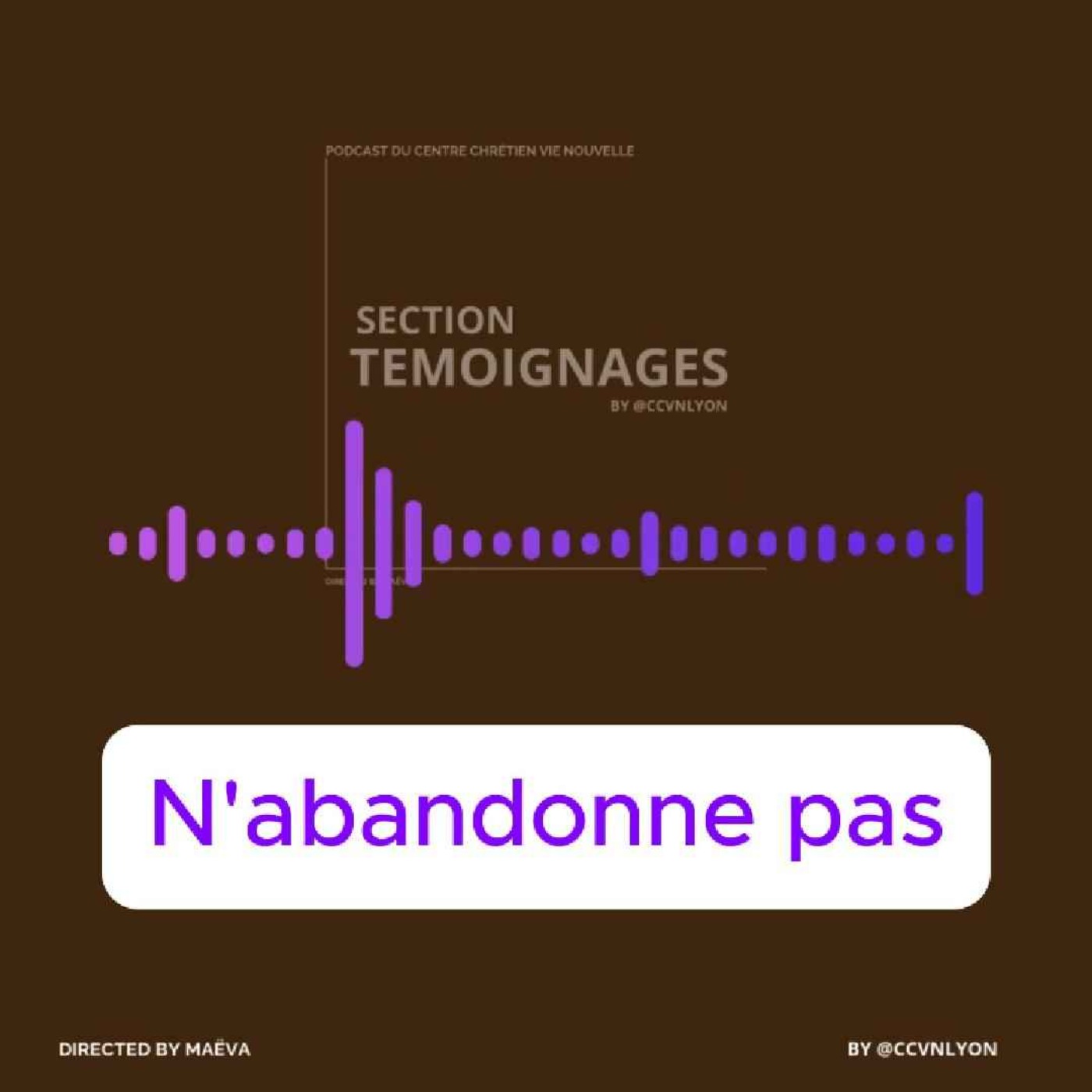 Section Témoignage by CCVN Lyon