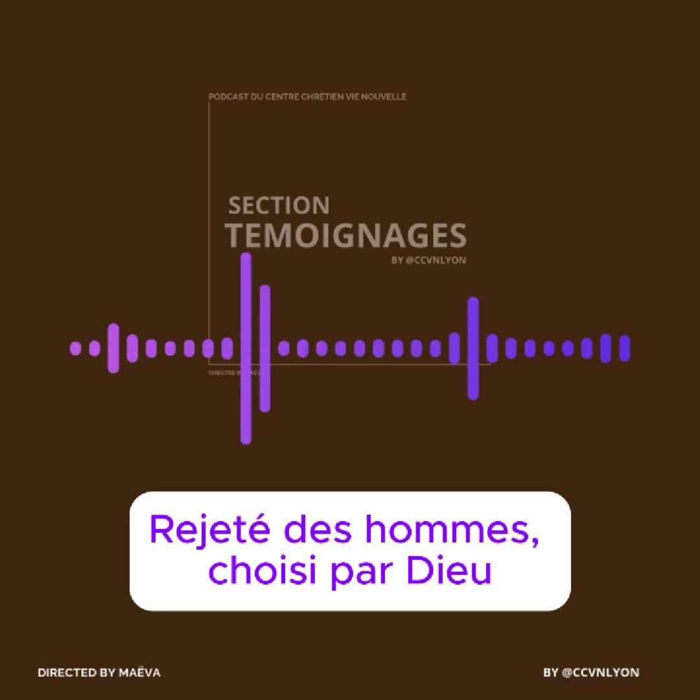 Section Témoignage by CCVN Lyon