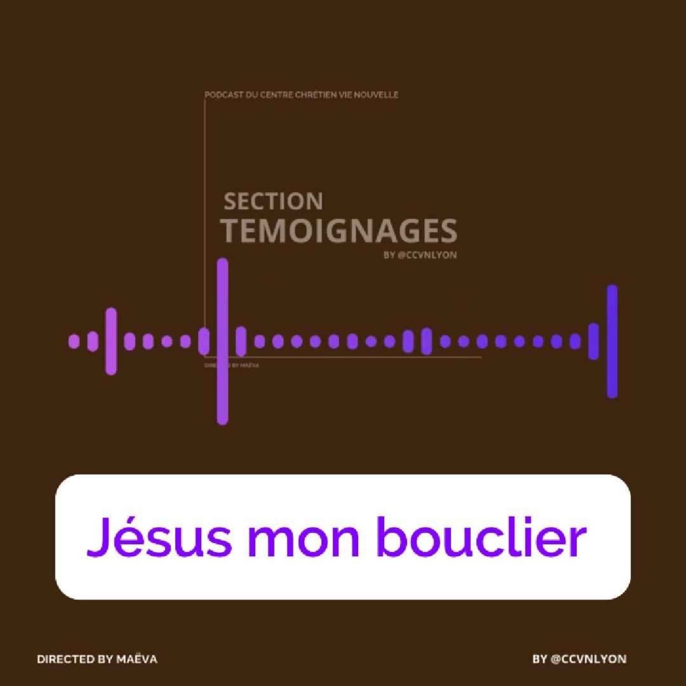 Section Témoignage by CCVN Lyon