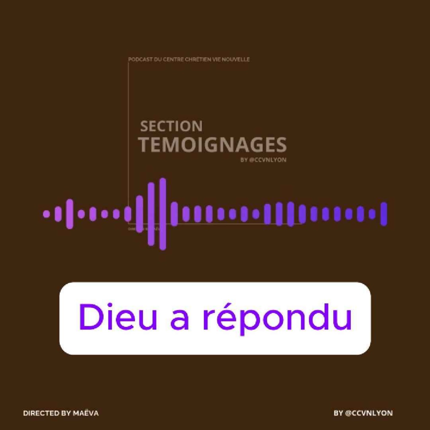 Section Témoignage by CCVN Lyon