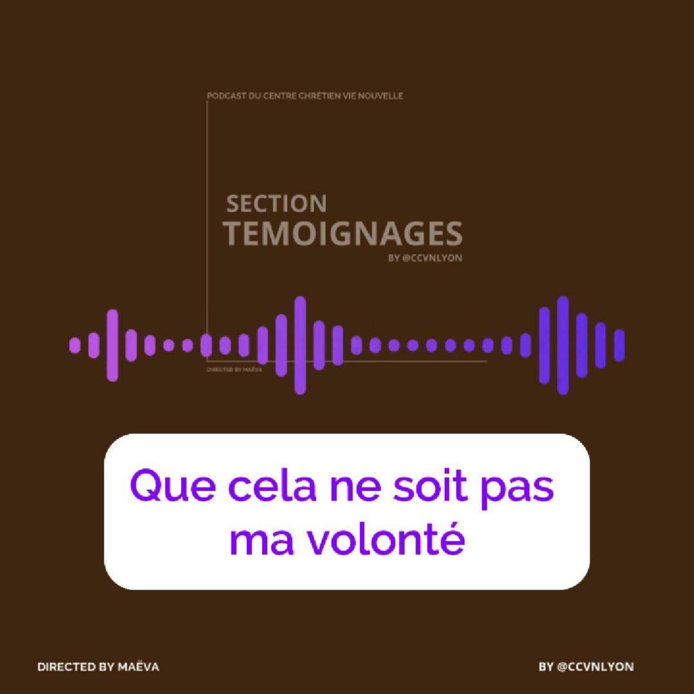 Section Témoignage by CCVN Lyon