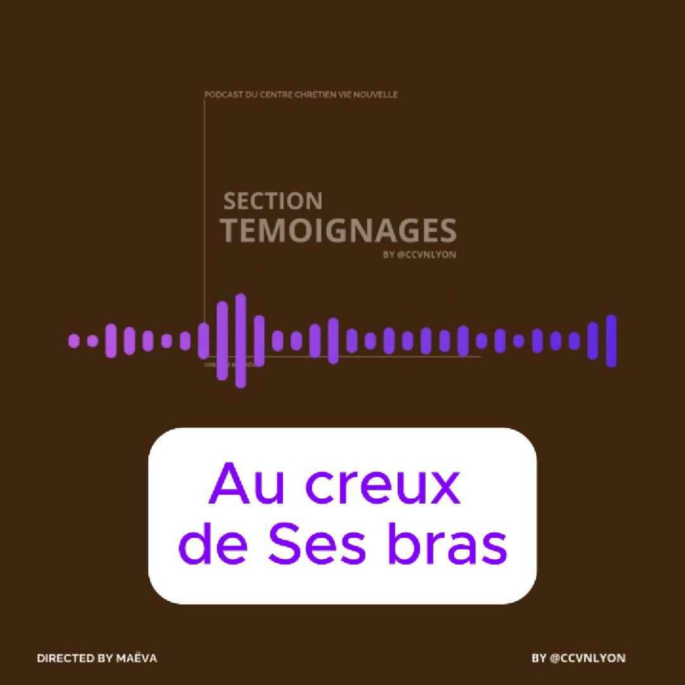 Section Témoignage by CCVN Lyon
