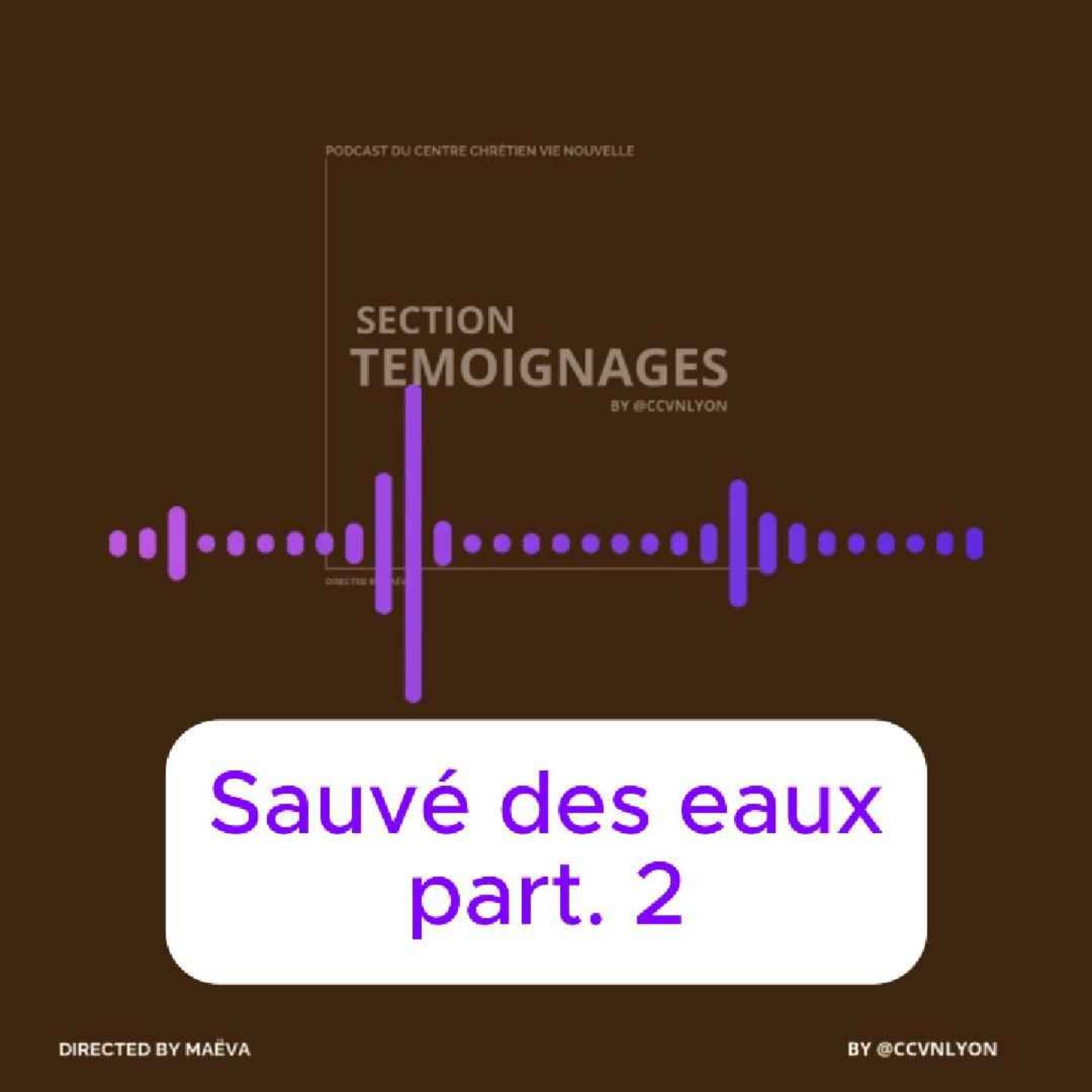 Section Témoignage by CCVN Lyon