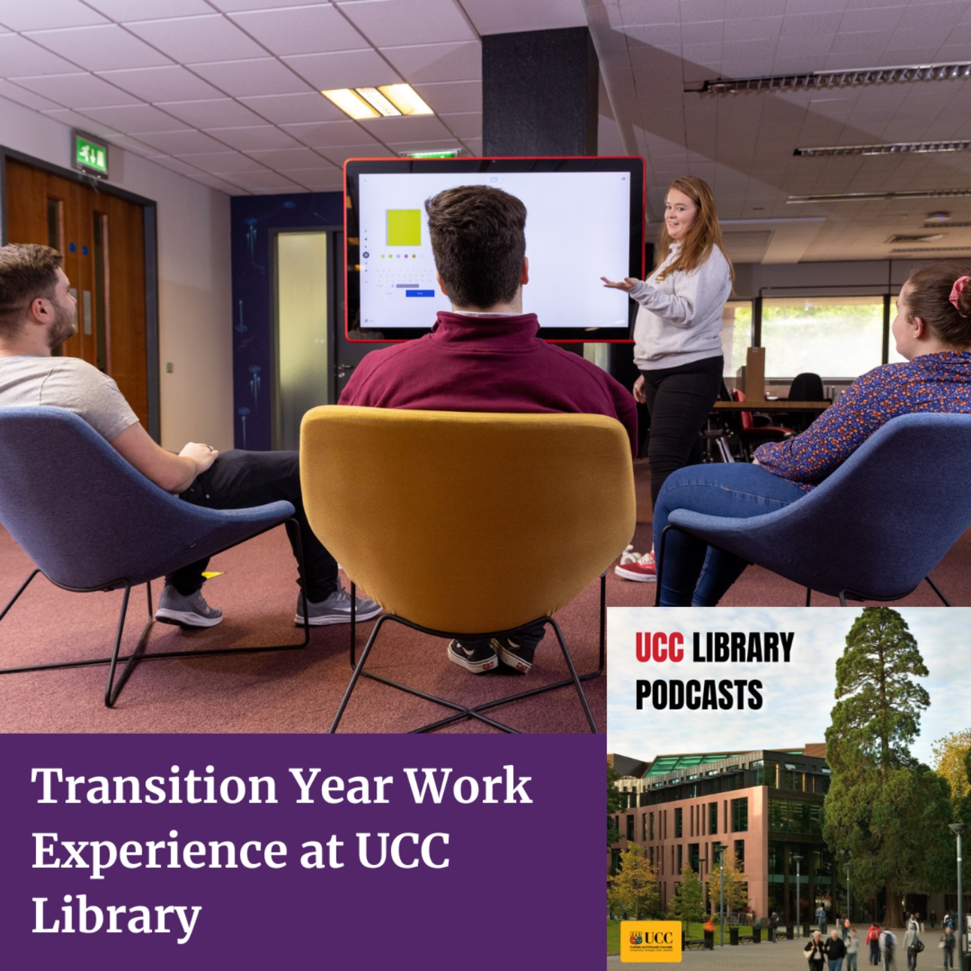 Transition Year Work Experience at UCC Library