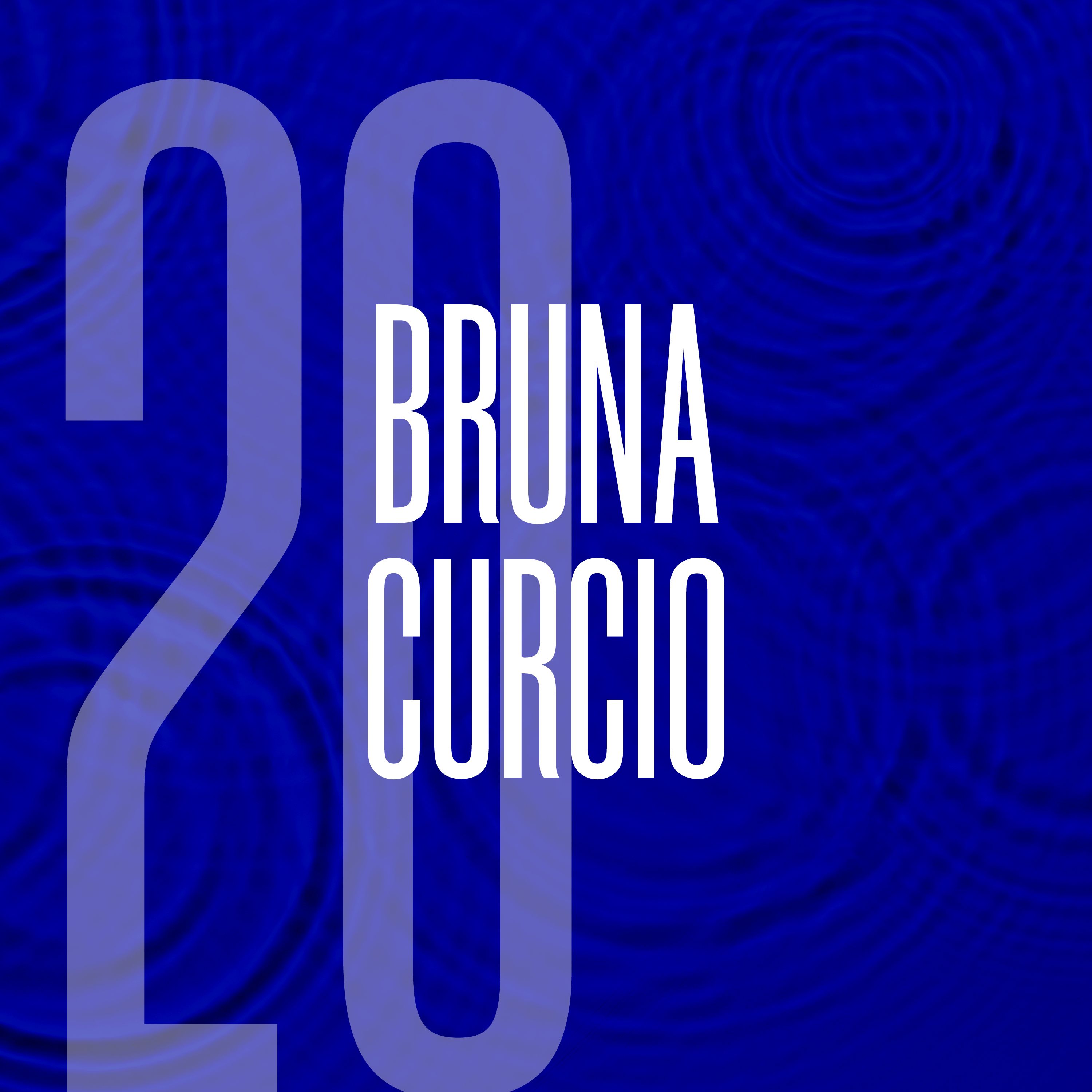 Bruna Curcio: Venezuelan Migration Crisis in Brazil