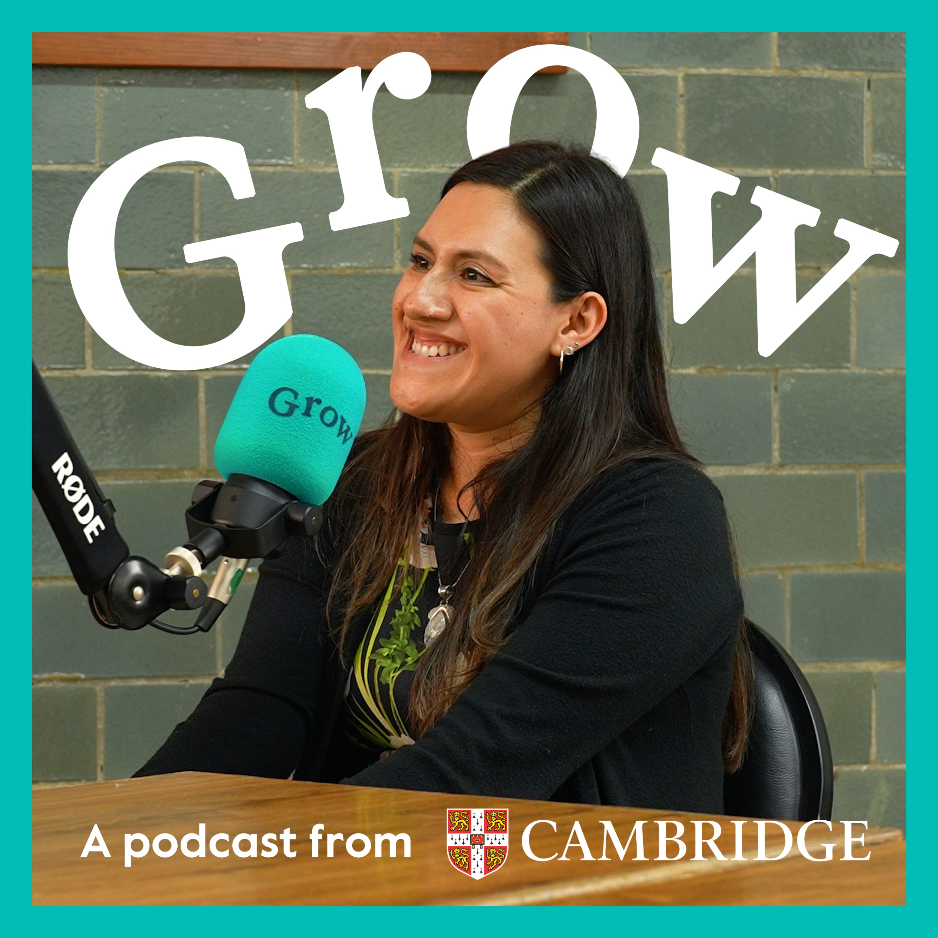 Building creative English lessons around students’ passions with Lilian Velázquez Salinas - Episode 29