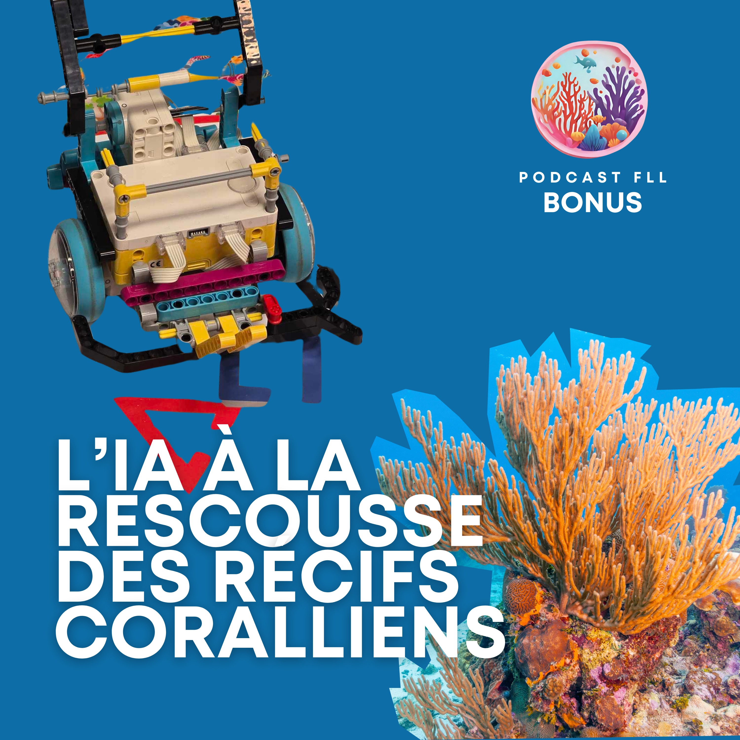 Episode BONUS avec Denis Tirmarche de Nausicaa