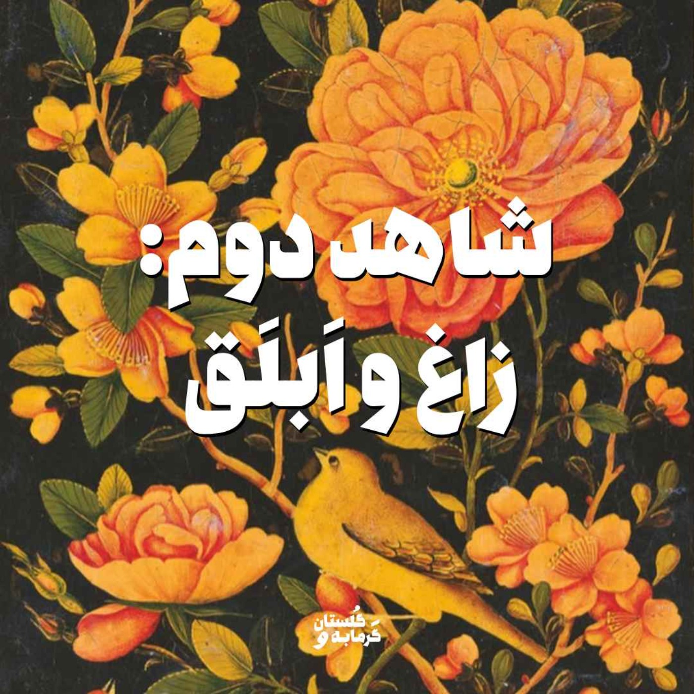 شاهد دوم: زاغ و اَبلَق