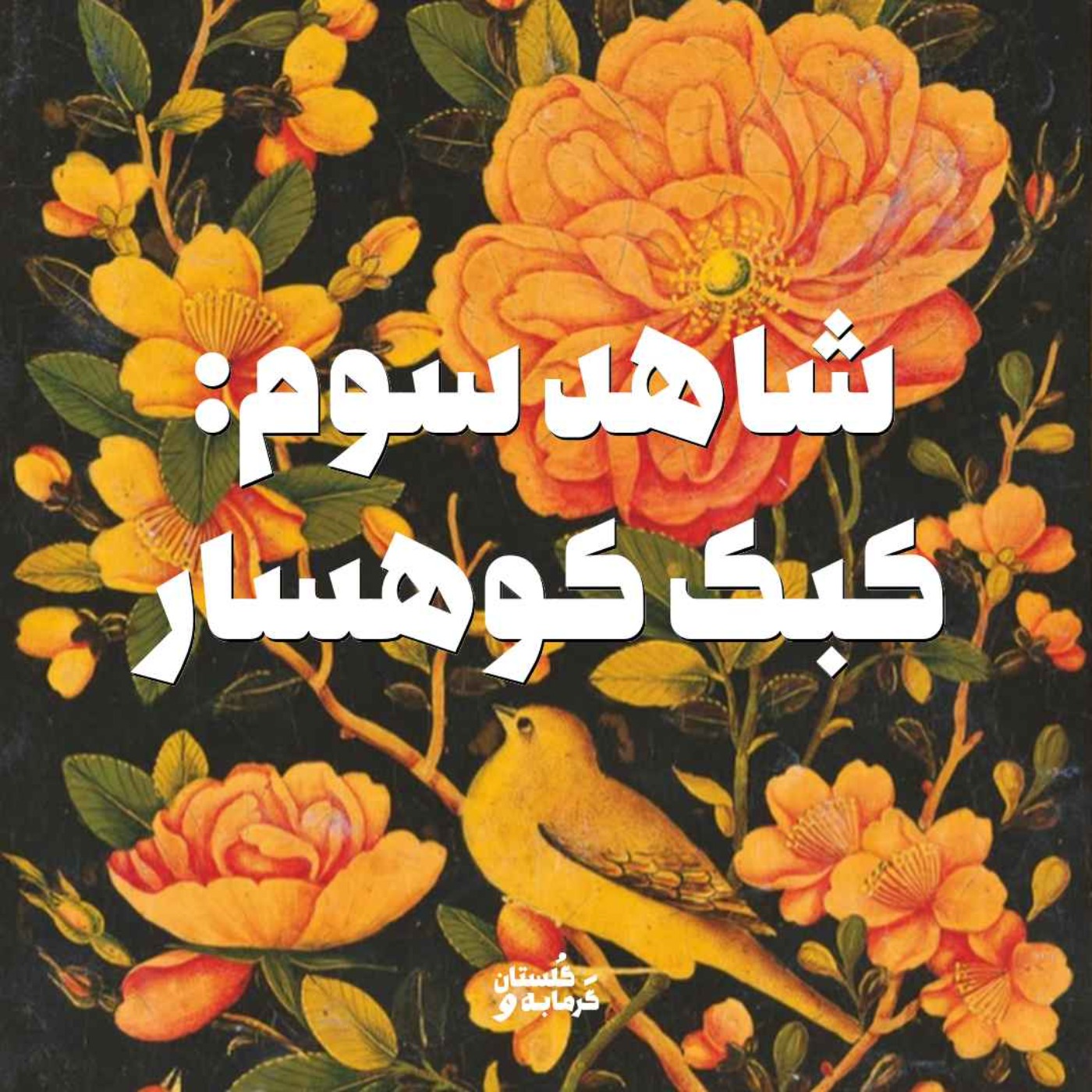 شاهد سوم: کبک کوهسار