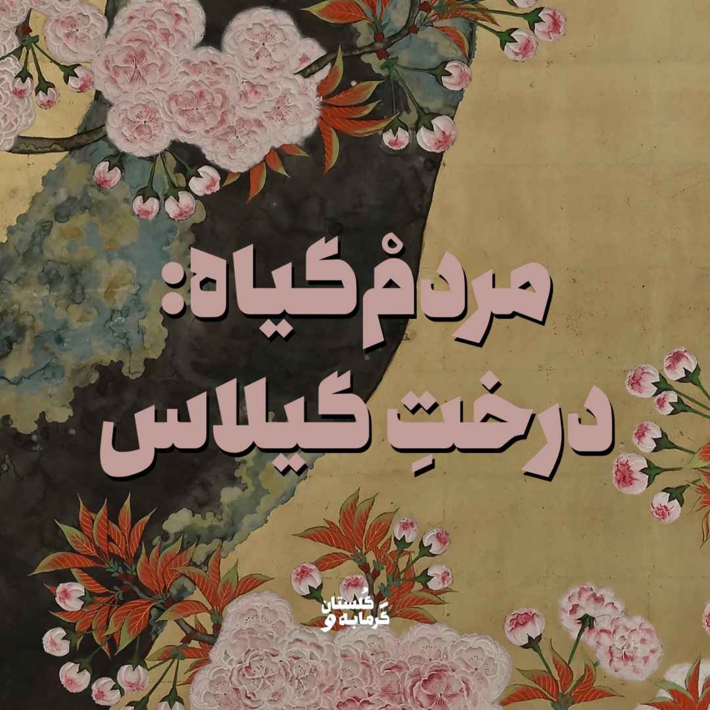 مردمْ‌گیاه: درخت گیلاس