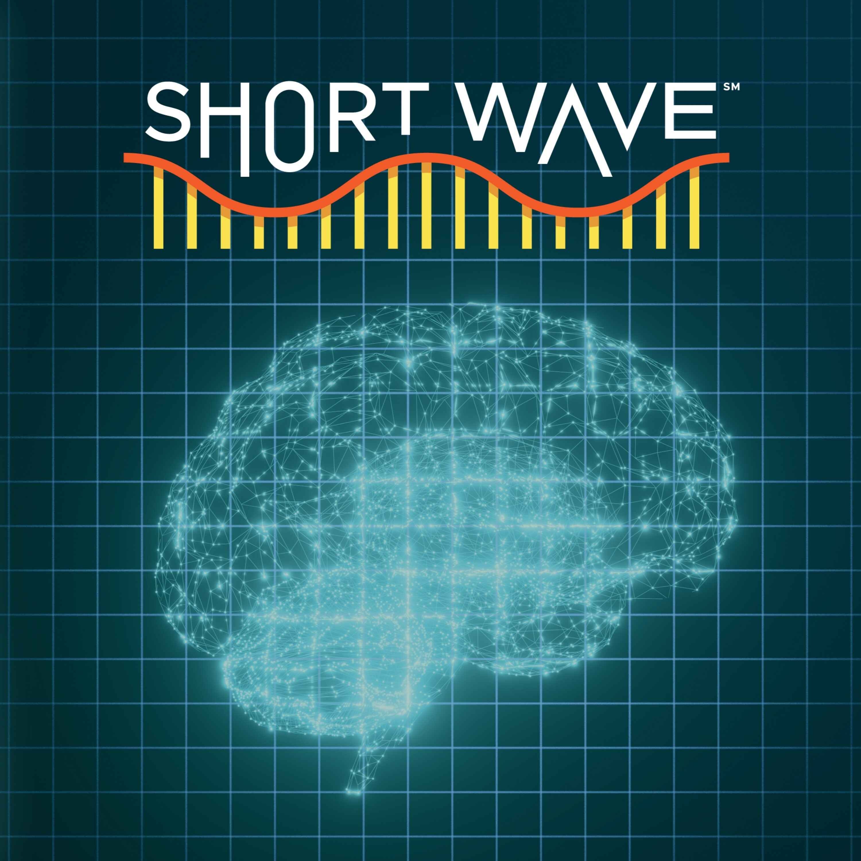 Could Mental Workouts Keep Your Brain Young? | NPR’s Short Wave