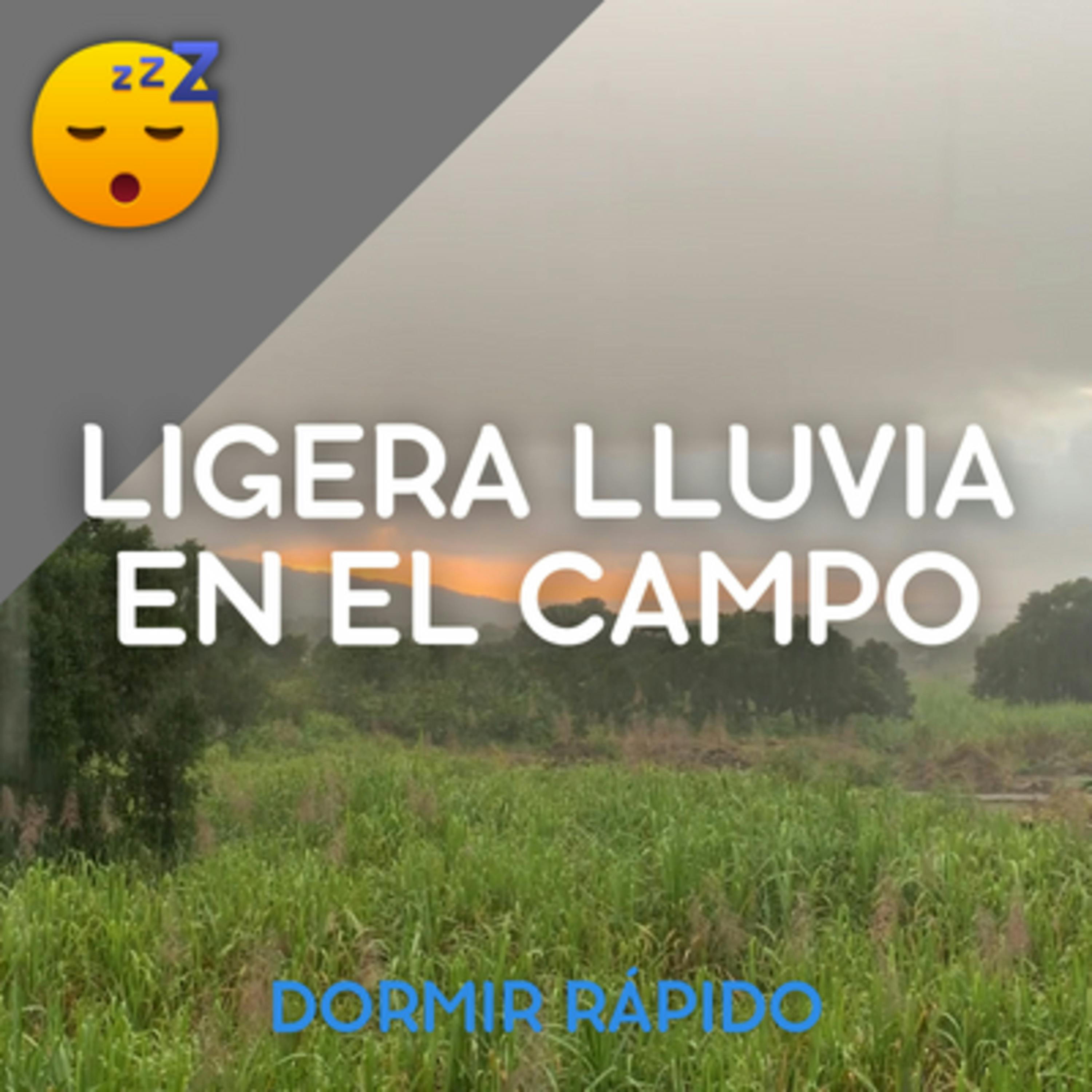 😴🌧️🎵 MÚSICA con una LIGERA LLUVIA en el Campo