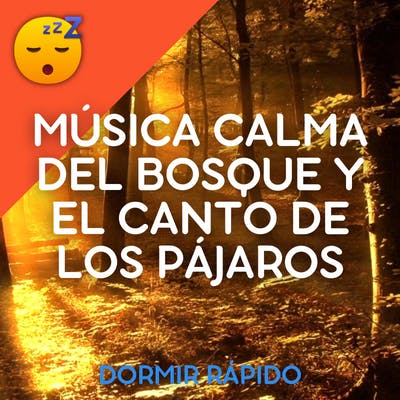 😴🍂🎵 DUERMA FÁCILMENTE con la MÚSICA Calma del BOSQUE y el CANTO DE LOS PÁJAROS