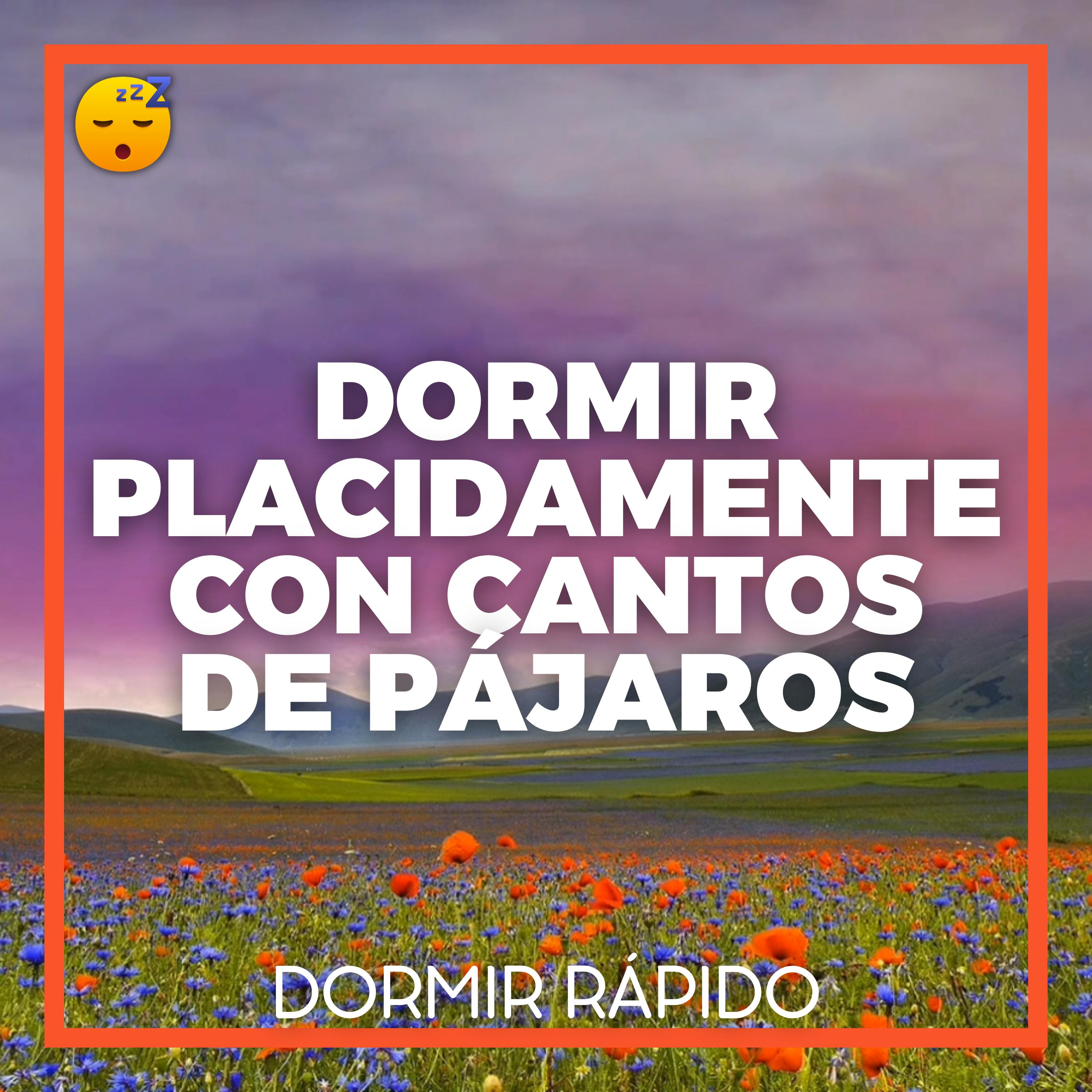 😴🍂🎵 DORMIR Placidamente con CANTOS DE PÁJAROS y MÚSICA Relajante
