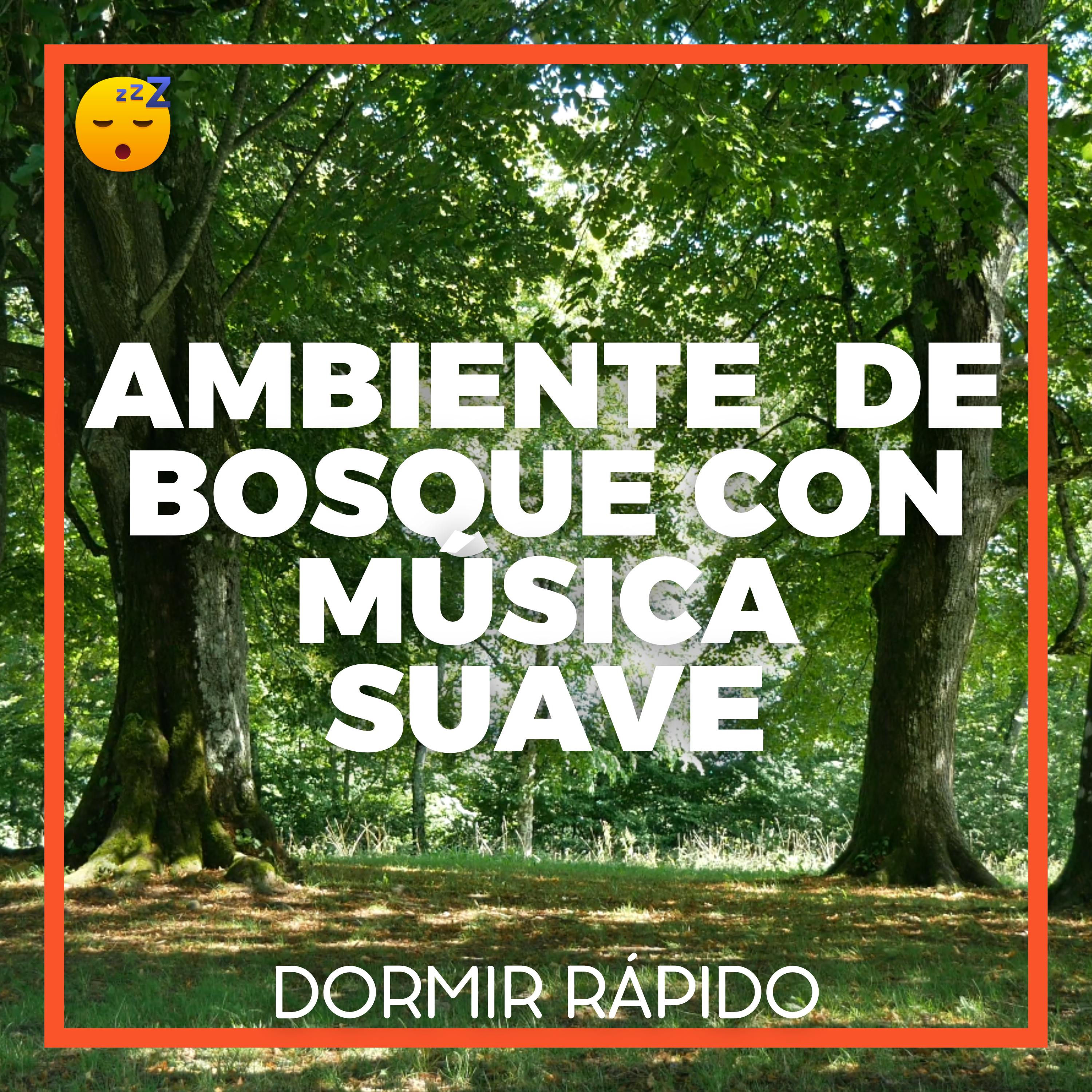 😴🍂🎵 Un Viaje Sonoro a Través del BOSQUE para RELAJARSE y DORMIR Plácidamente