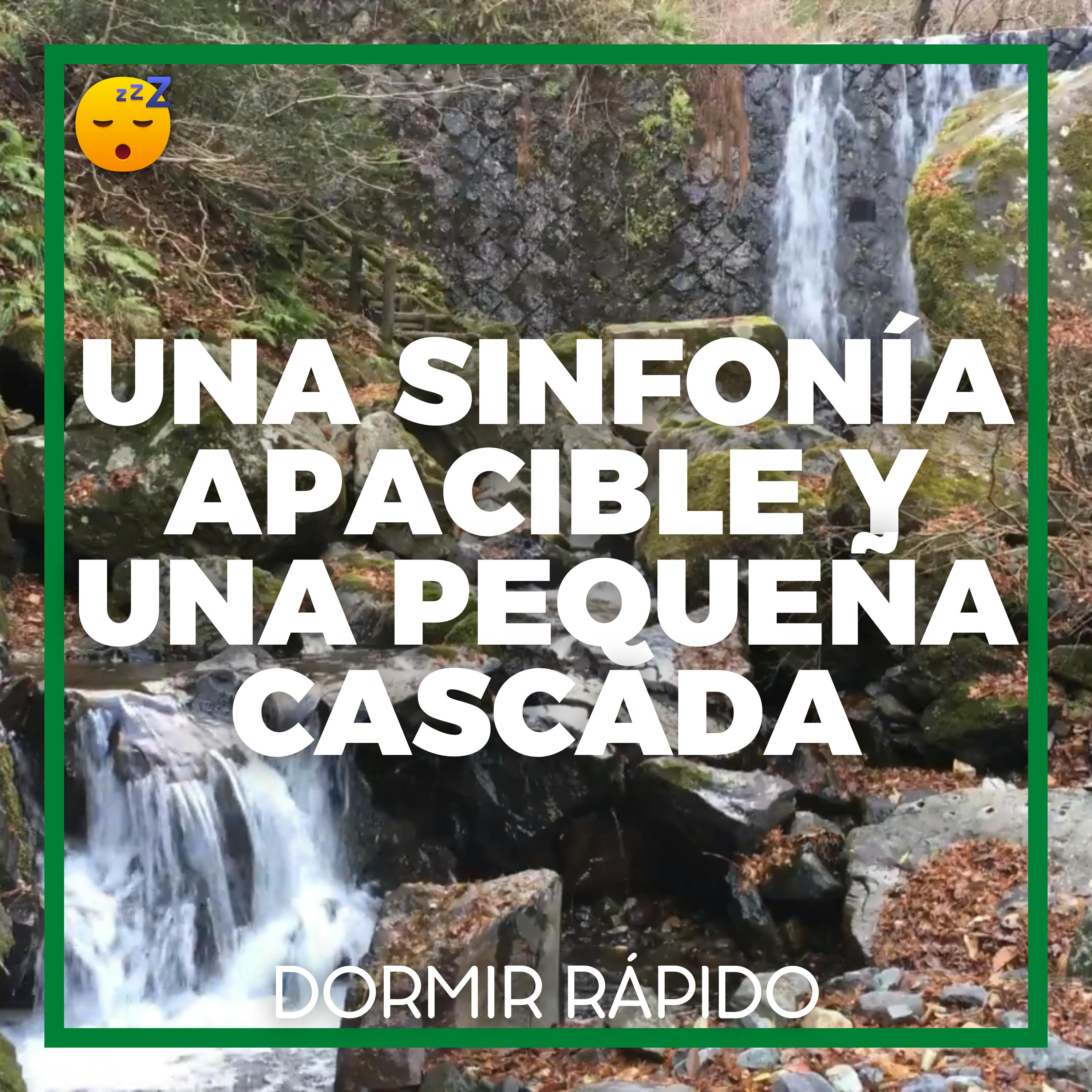😴💧🎵 Una SINFONÍA Apacible y una Pequeña CASCADA para una Buena NOCHE de Descanso