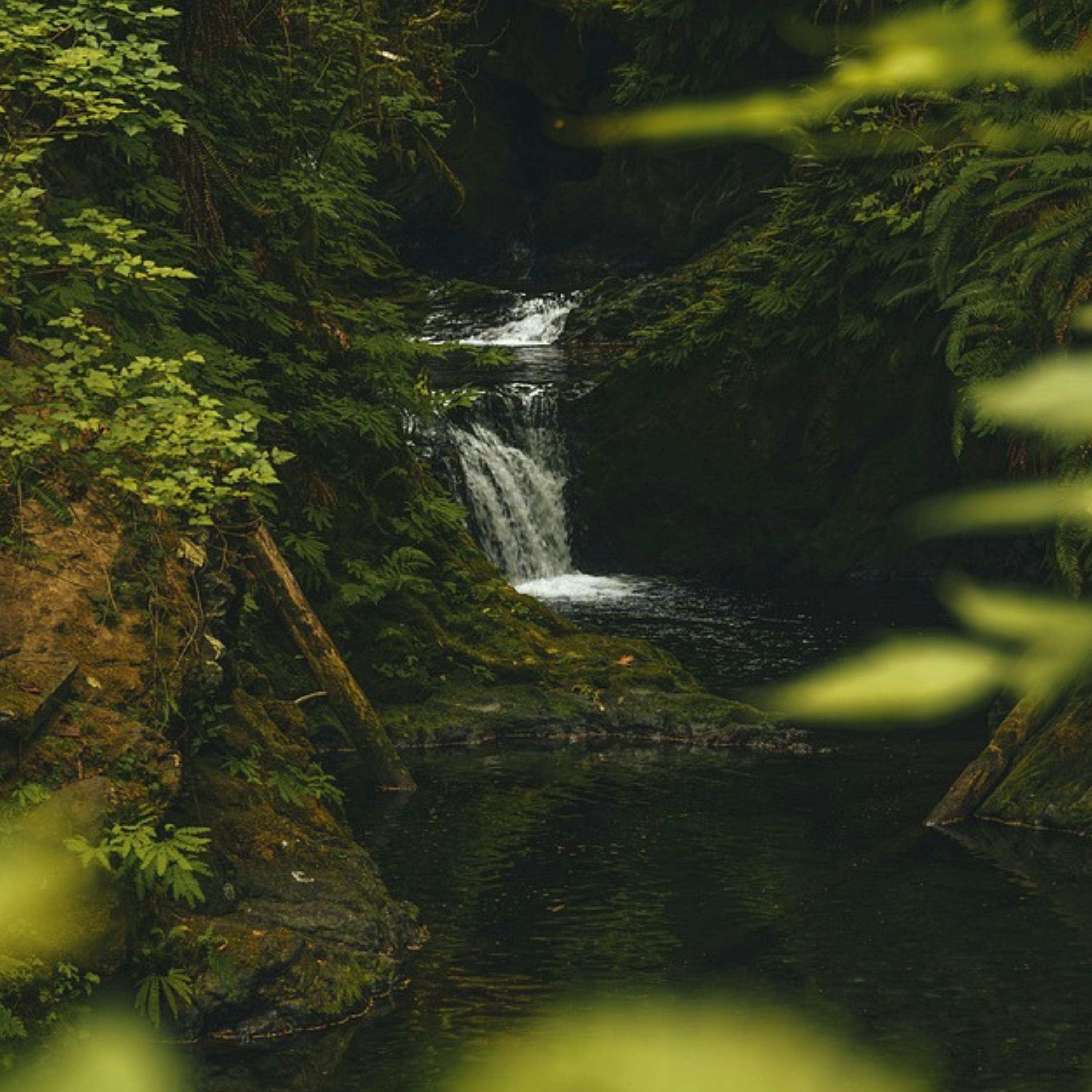 😴💧🎵 Libera el ESTRÉS: Déjate ACUNAR por la MÚSICA y el Sonido del AGUA