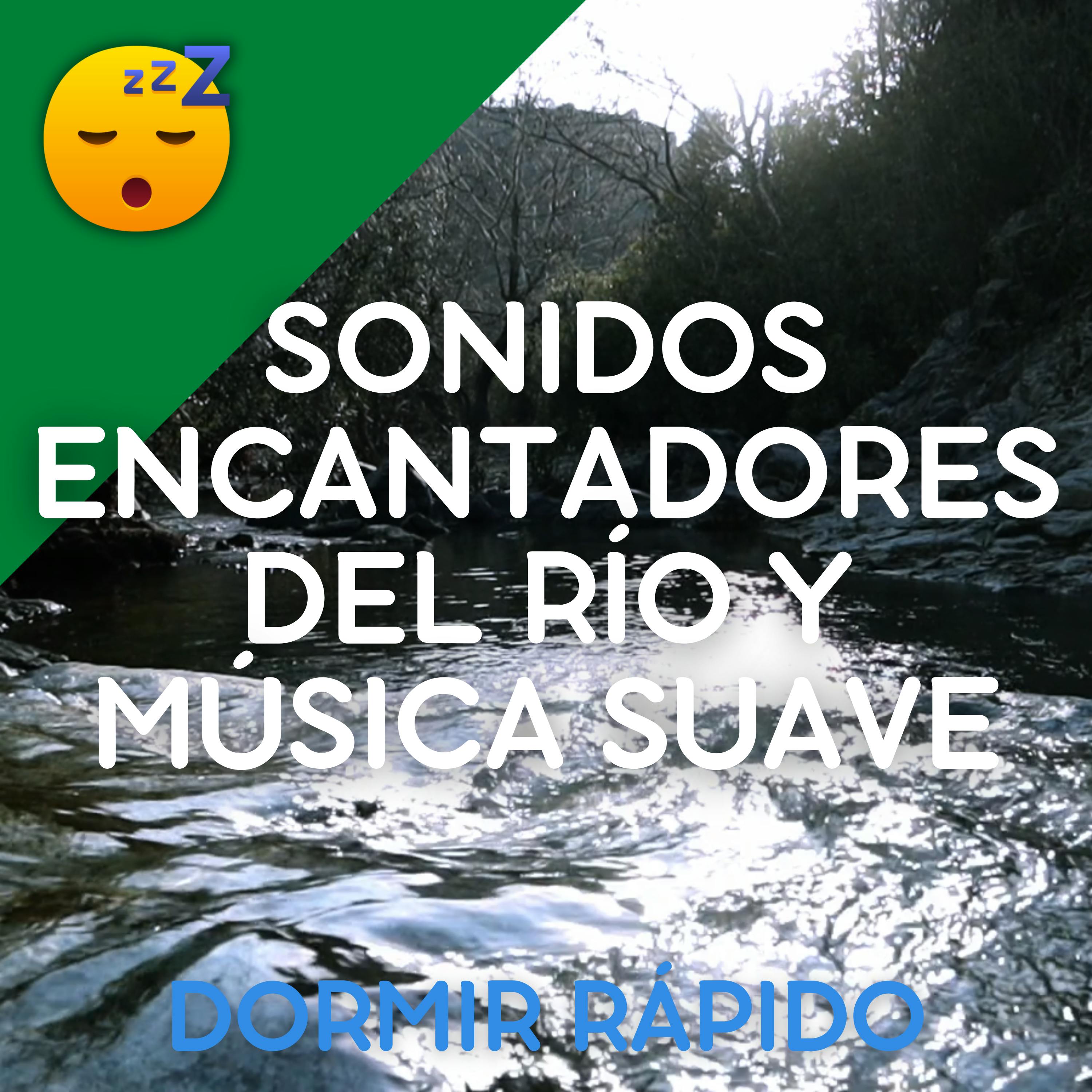 😴💧🎵 Disfruta de una NOCHE Pacífica con los Sonidos Encantadores del RÍO y MÚSICA Suave