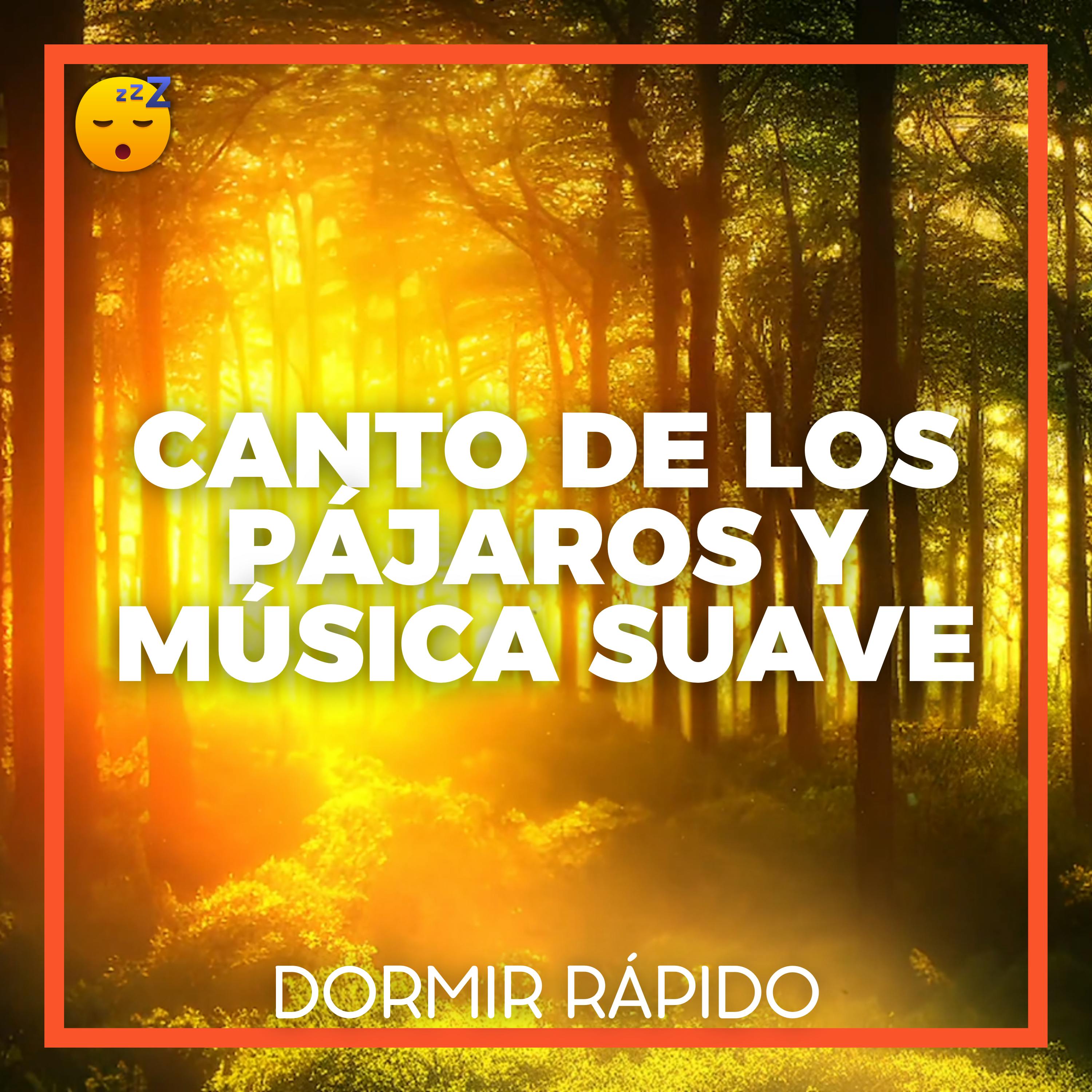 😴🍂🎵 CANTO de los PÁJAROS y MÚSICA Suave para una NOCHE Sin ESTRÉS