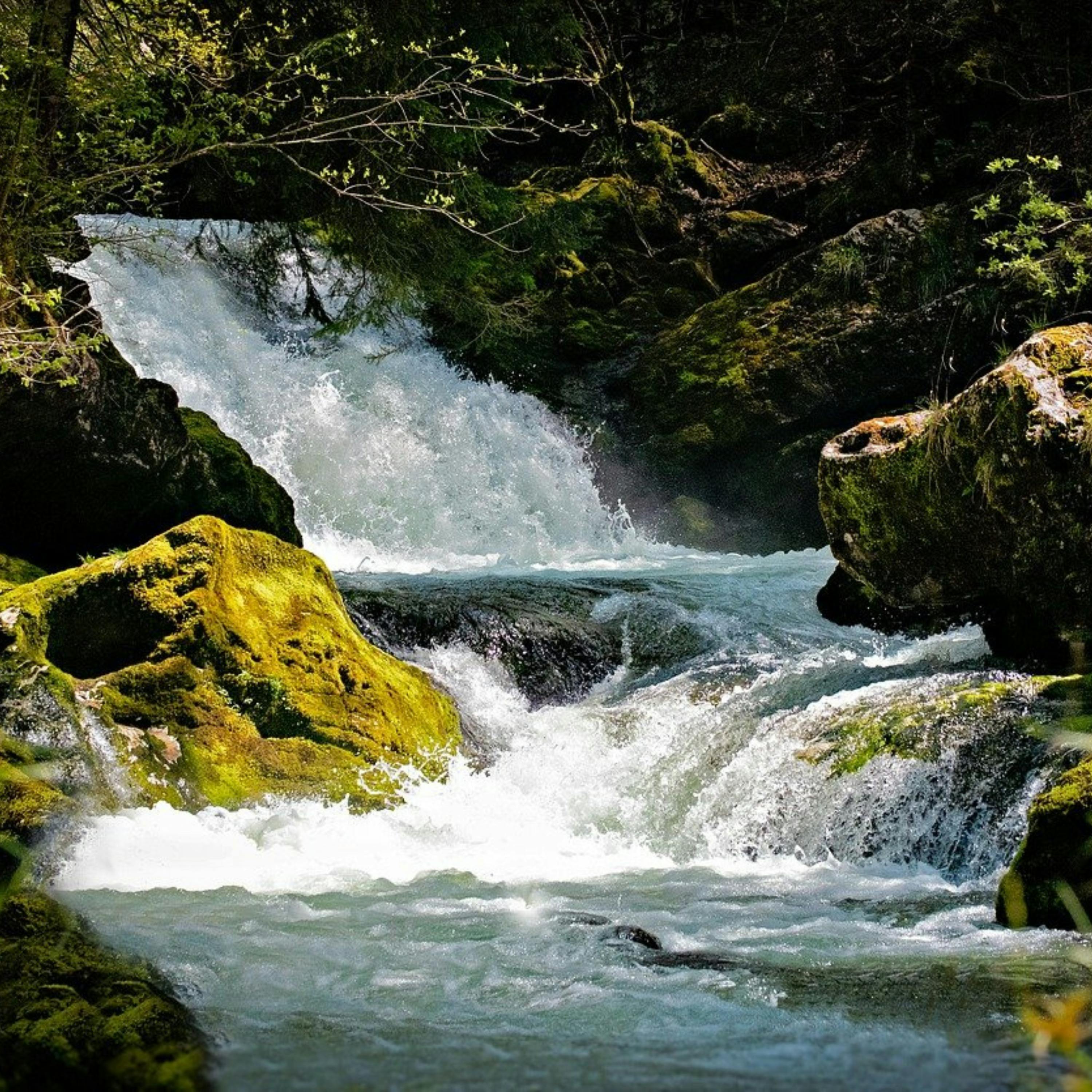 😴💧🎵 Encuentra el DESCANSO con el Suave Sonido de una CASCADA y MÚSICA Relajante