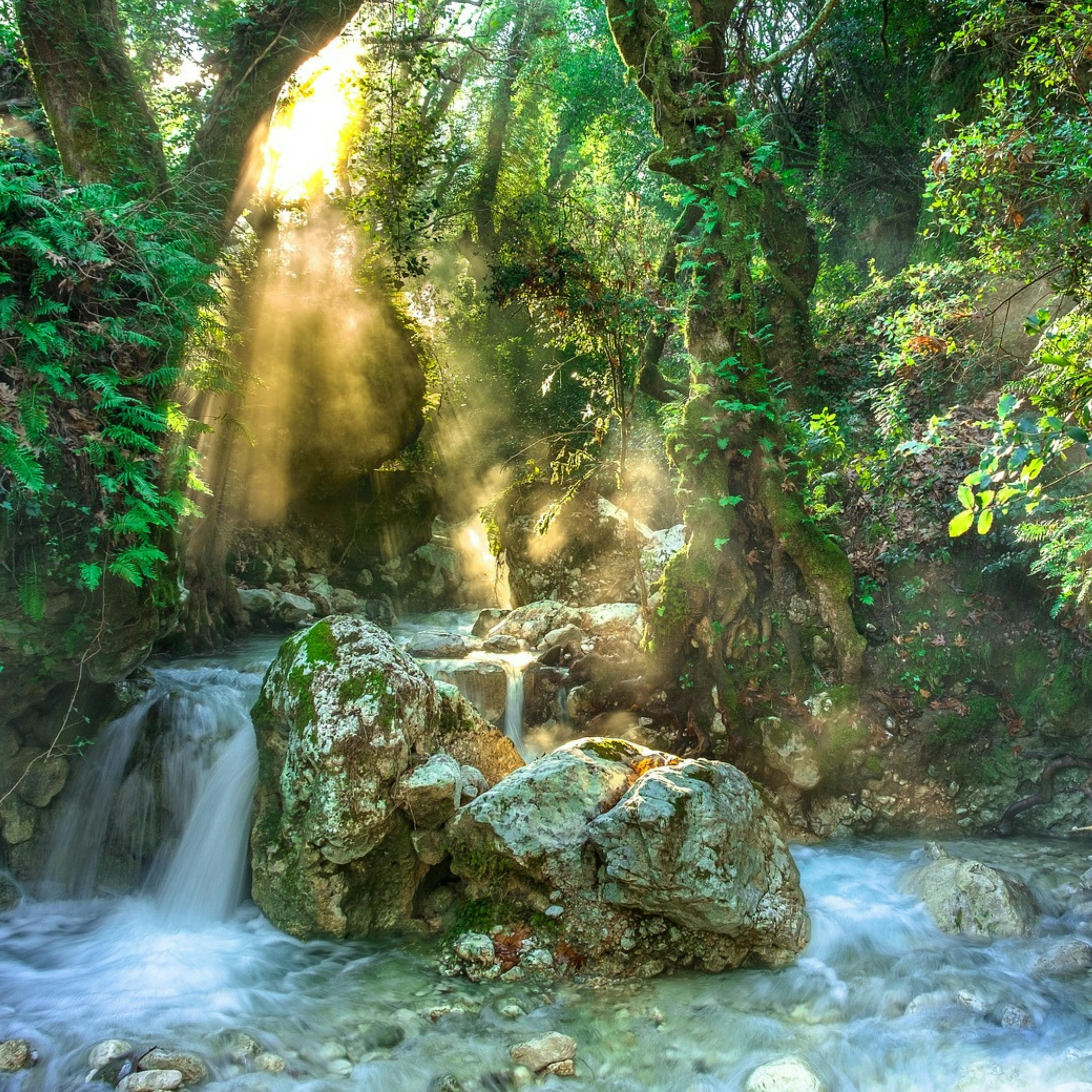 😴💧🎵 MÚSICA Suave y Sonido del AGUA: Revitaliza tu Salud Mental mientras DUERMES