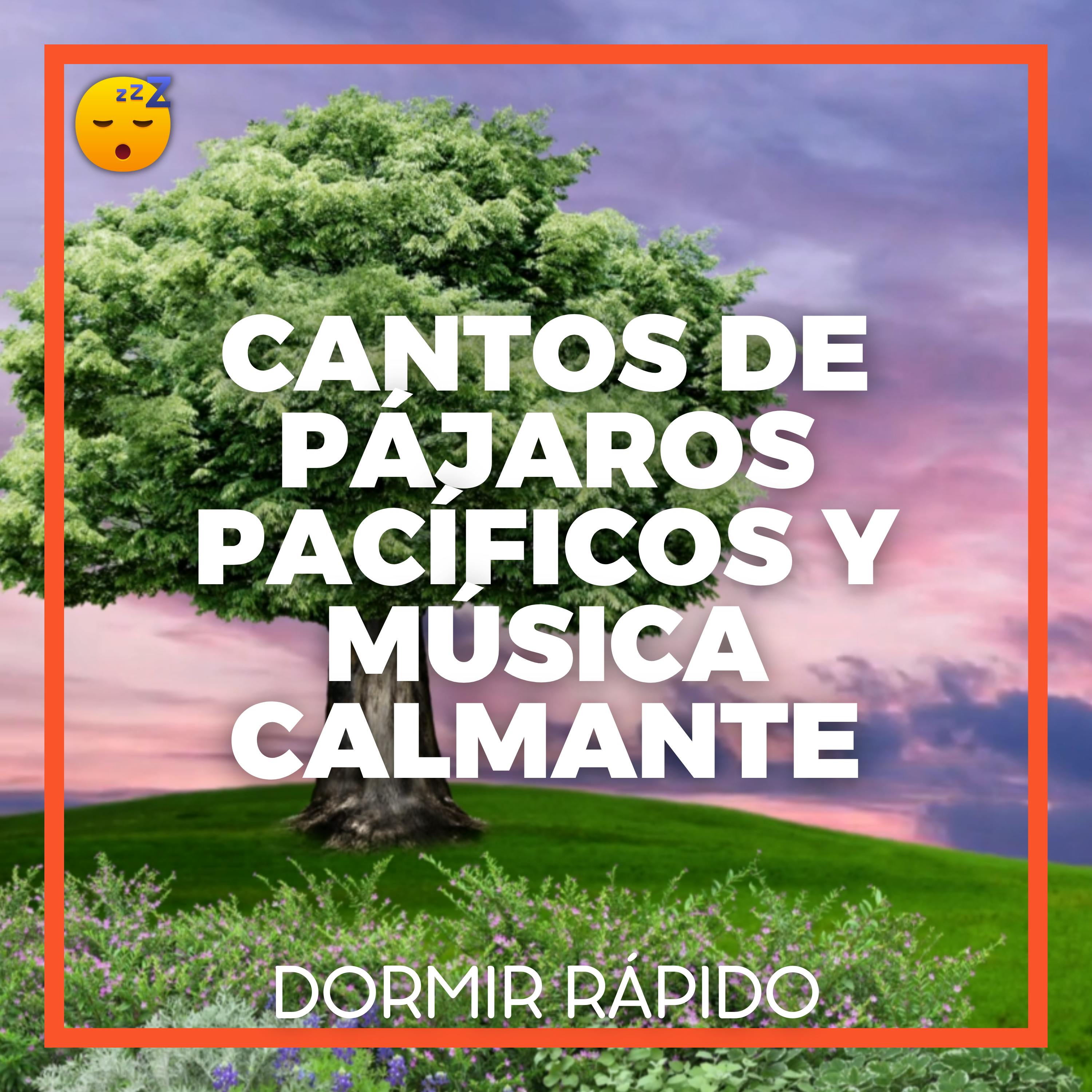 😴🍂🎵 CANTOS DE PÁJAROS Pacíficos y MÚSICA Calmante para un Reparador SUEÑO