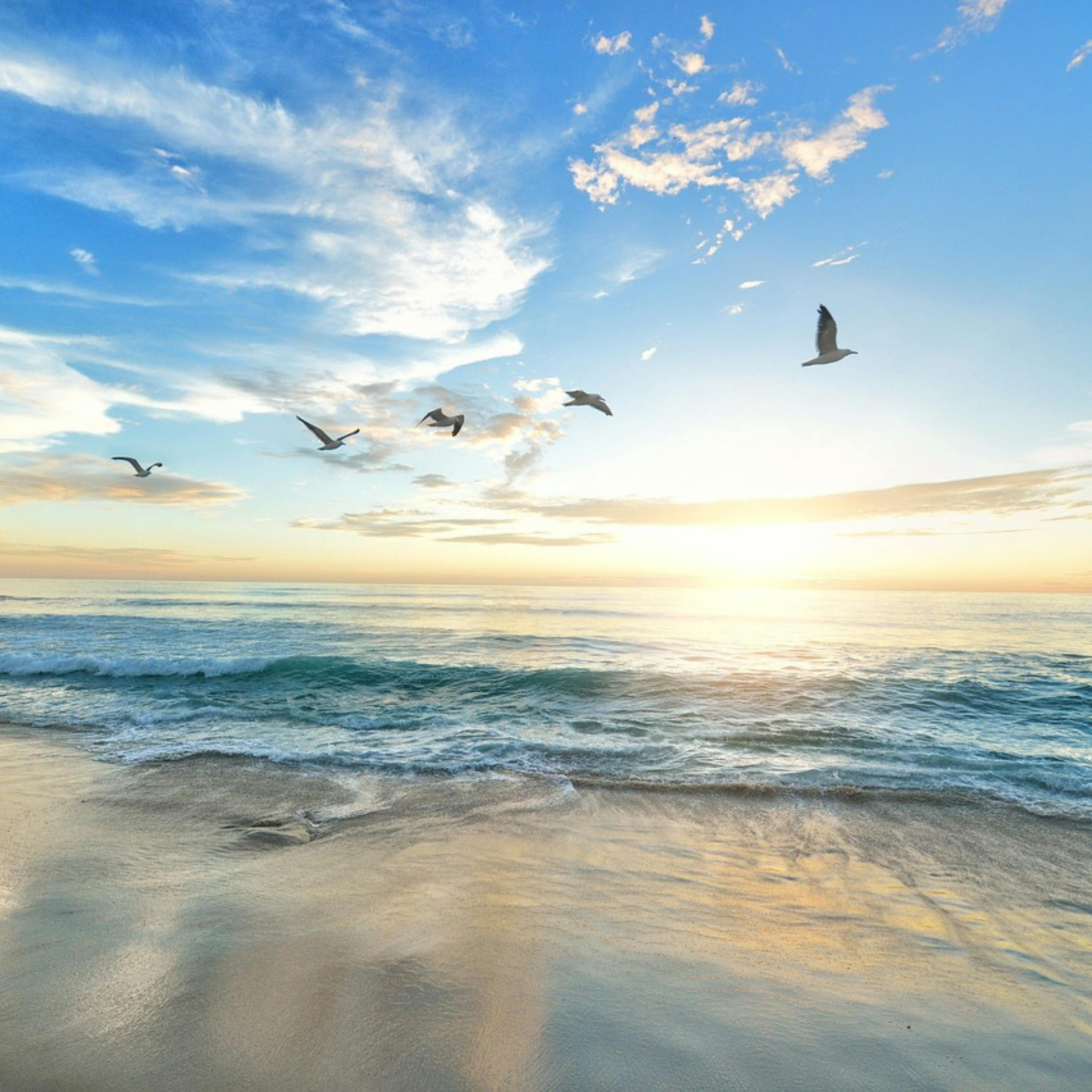 😴🌊🎵 OLAS DEL OCÉANO y SINFONÍA Relajante para DORMIR Rápidamente