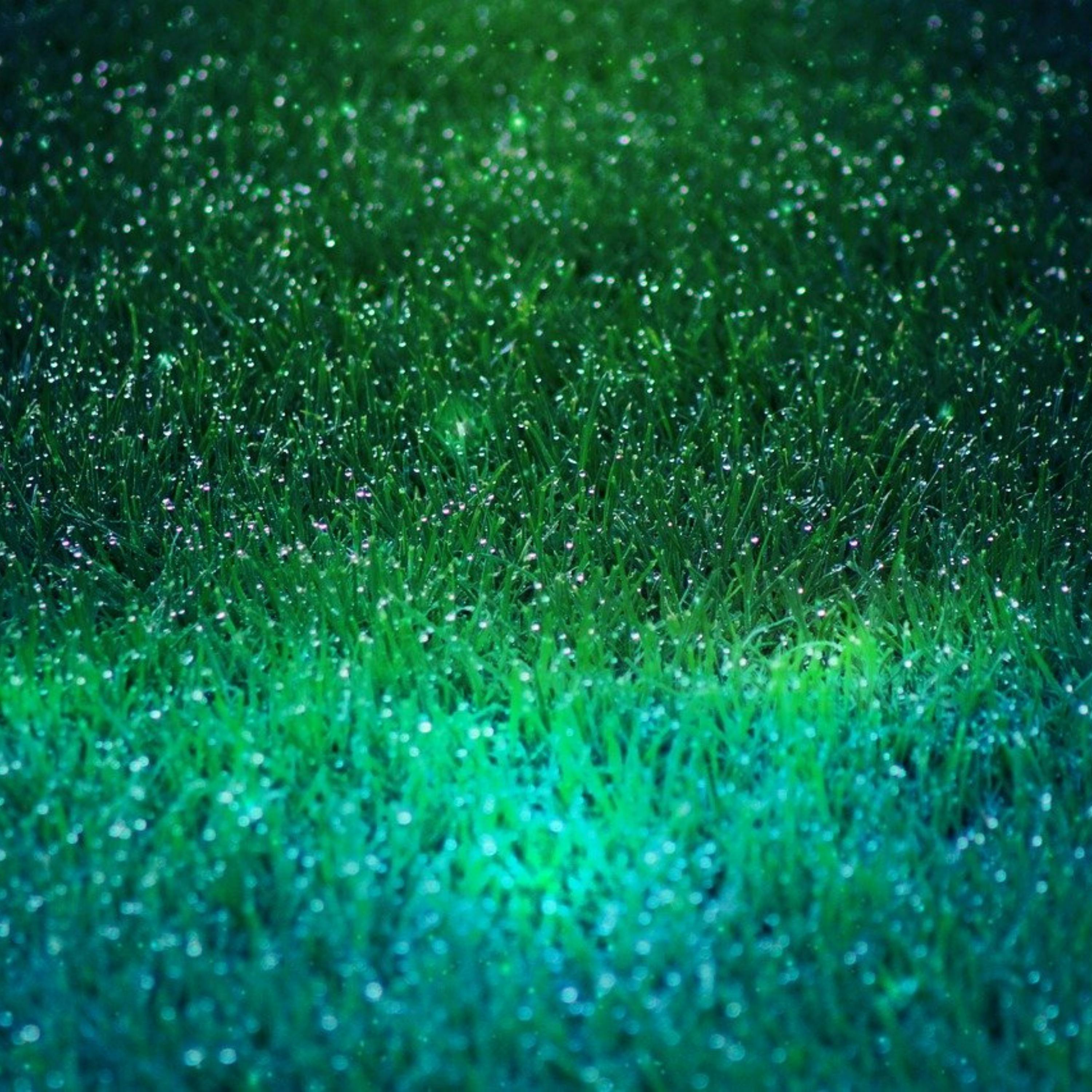 😴🌧️🎵 DORMIRSE Rápidamente gracias al Sonido de la LLUVIA y una Dulce MELODÍA