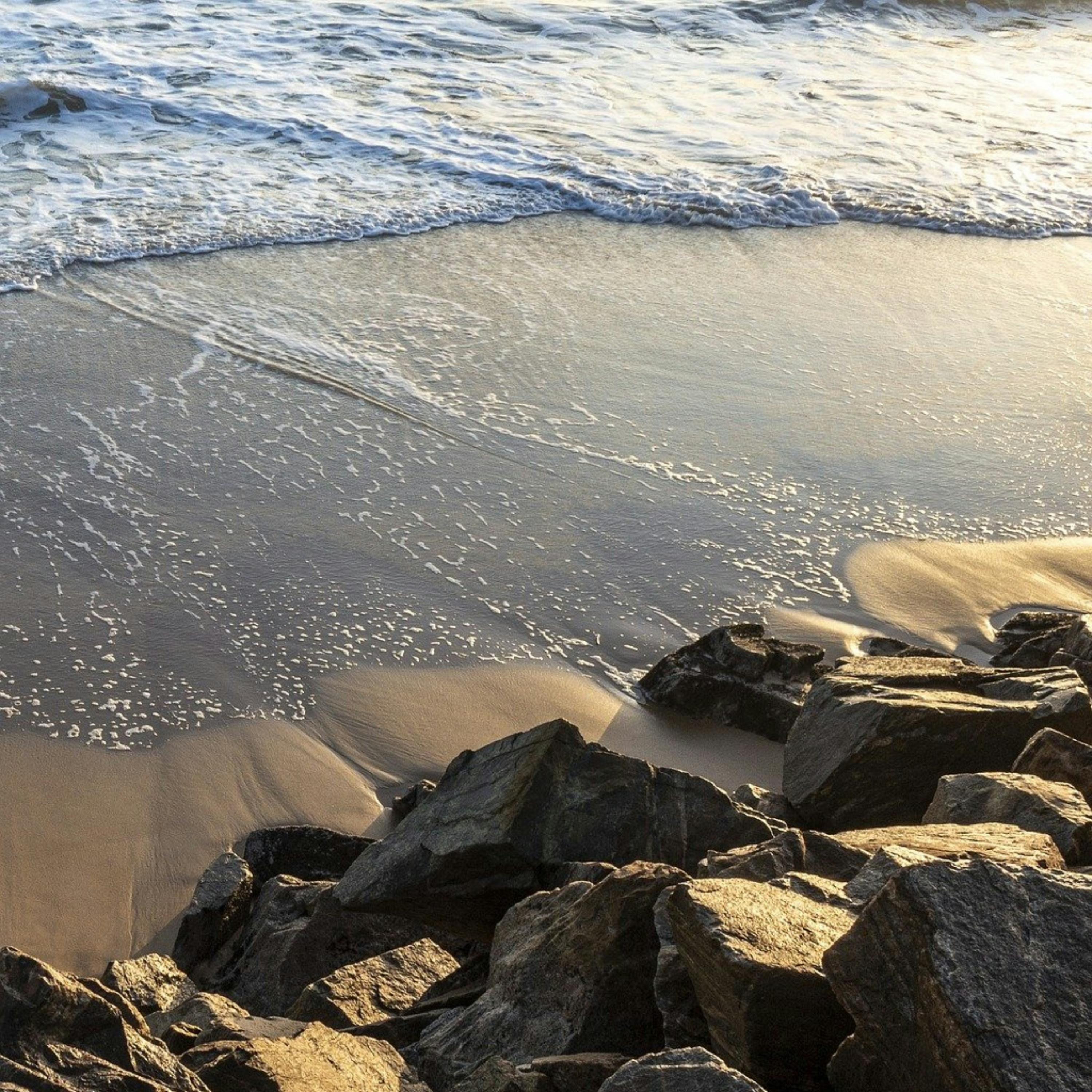 😴🌊🎵 Sonido del OCÉANO y MELODÍA Relajante para la RELAJACIÓN