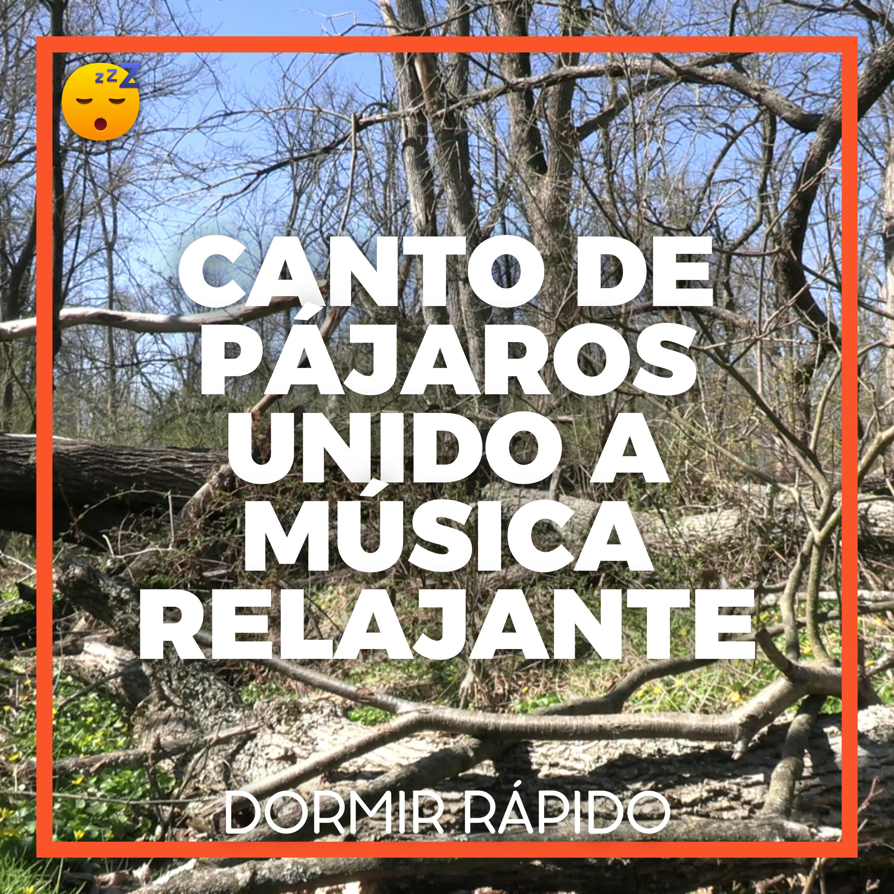 😴🍂🎵 CANTO DE PÁJAROS Unido a MÚSICA Relajante para un SUEÑO Profundo