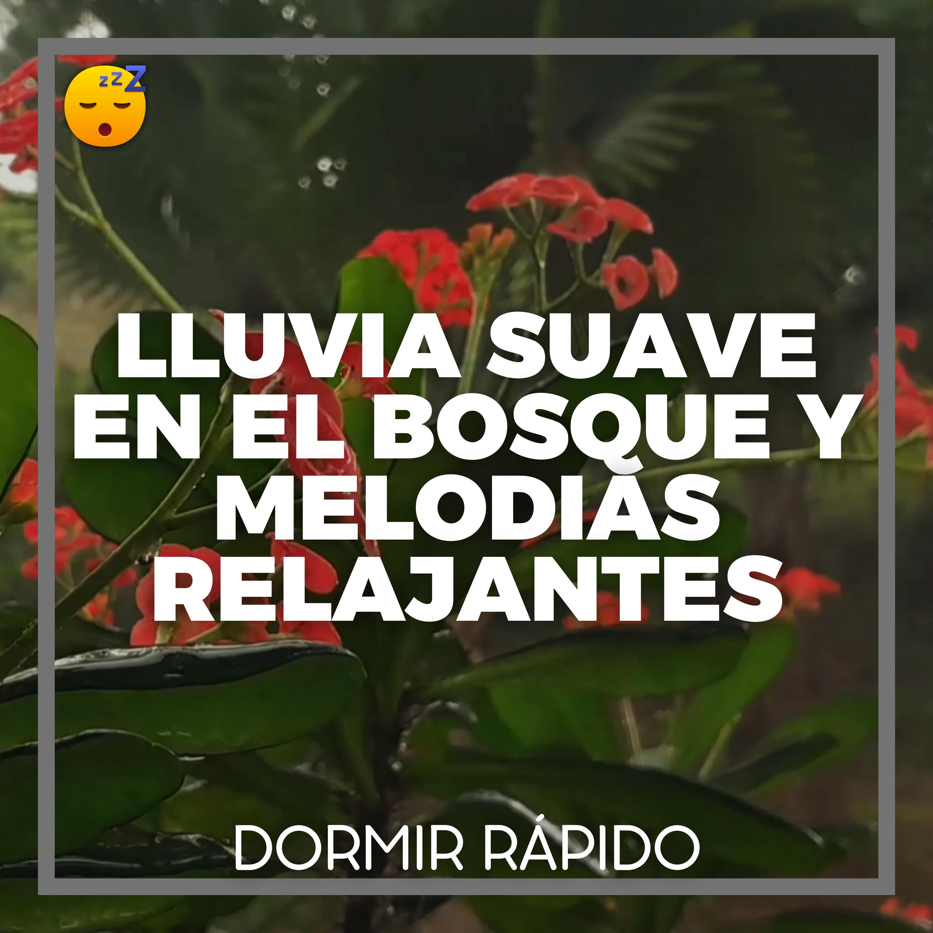 😴🌧️🎵 Lluvia SUAVE en el Bosque y MELODIAS Relajantes para un SUEÑO Reparador