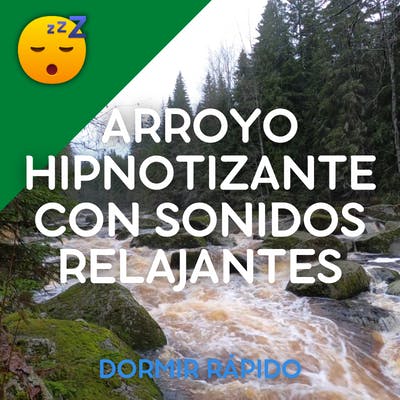 😴💧🎵 ARROYO Hipnotizante con Sonidos Relajantes : un Remedio Natural contra el INSOMNIO