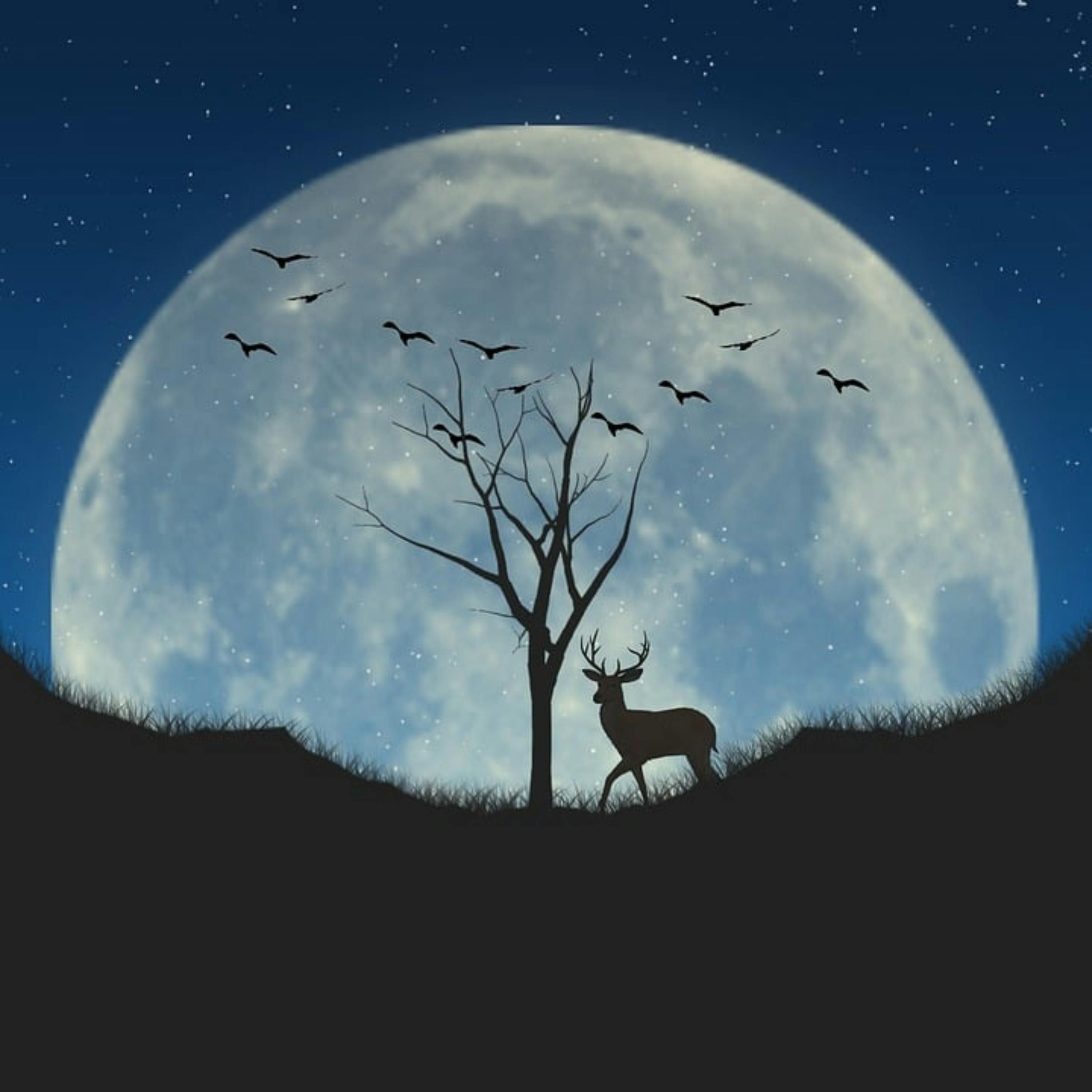 😴🎵 Una MÚSICA Suave, un Remedio Natural para el SUEÑO