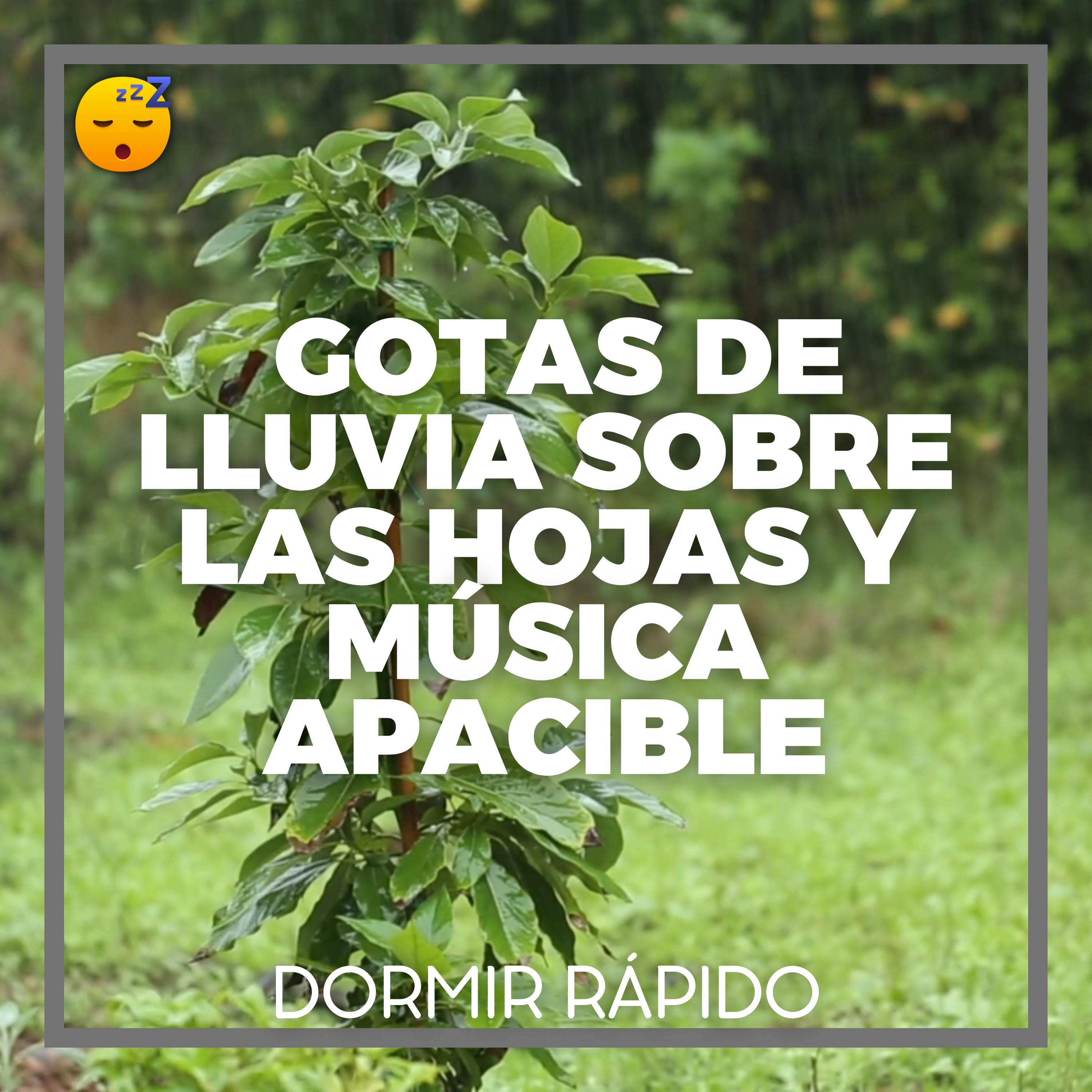 😴🌧️🎵 DUÉRME con el Sonido de Gotas de LLUVIA sobre las Hojas y MÚSICA Relajante