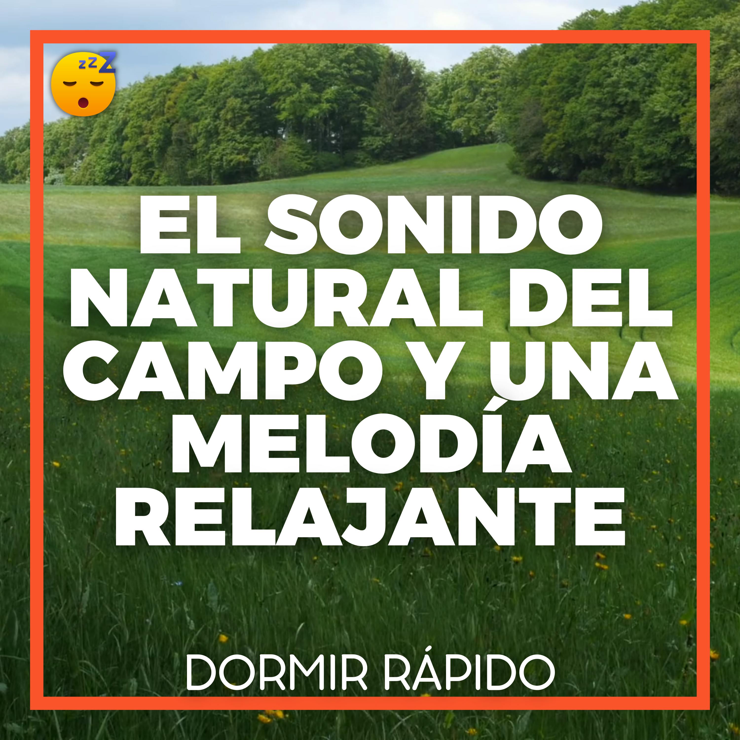 😴🍂🎵 El Sonido Natural del CAMPO y una MELODÍA Relajante para DORMIR en Paz