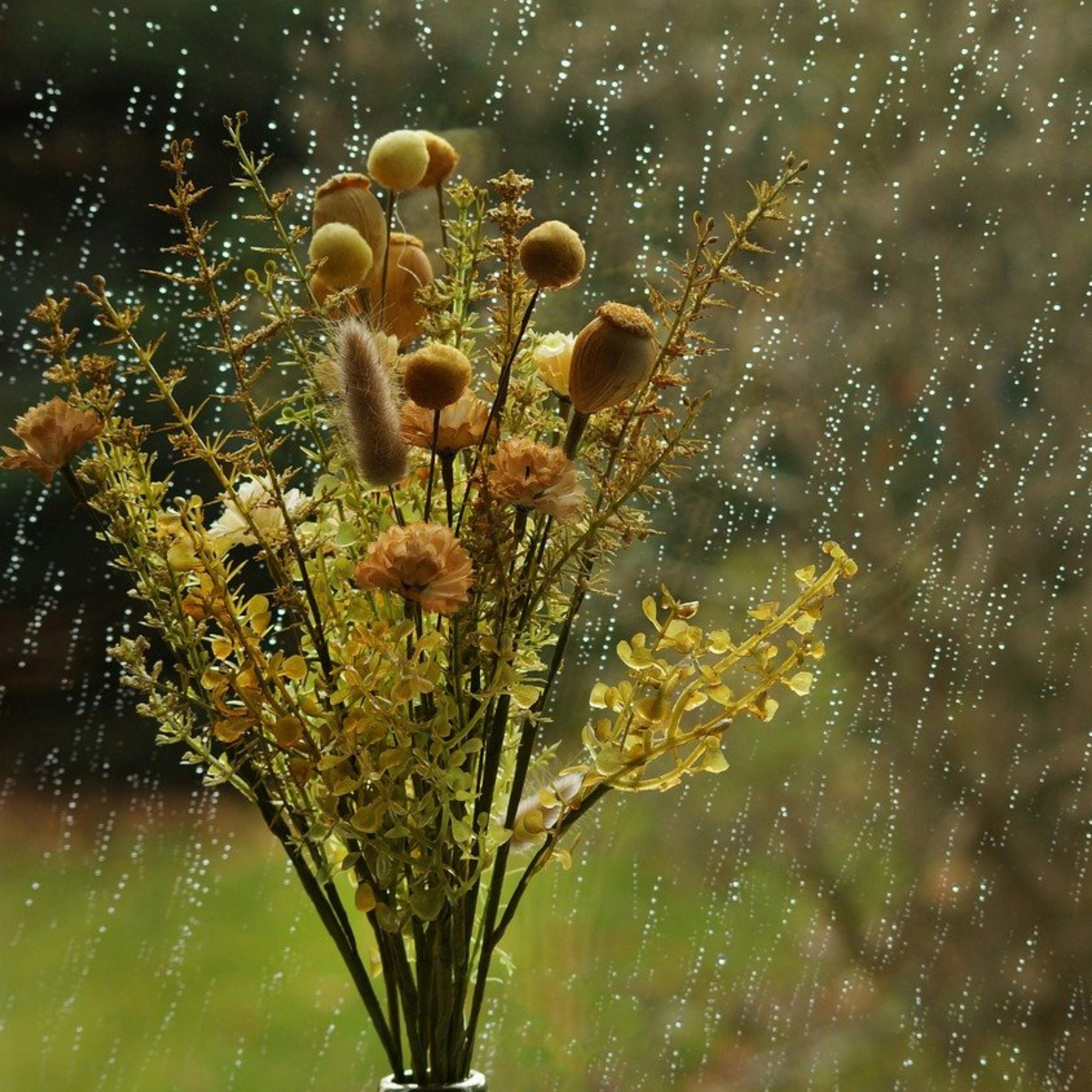 😴🌧️🎵Suave MÚSICA y LLUVIA Torrencial: un Dúo Calmante para un SUEÑO Profundo