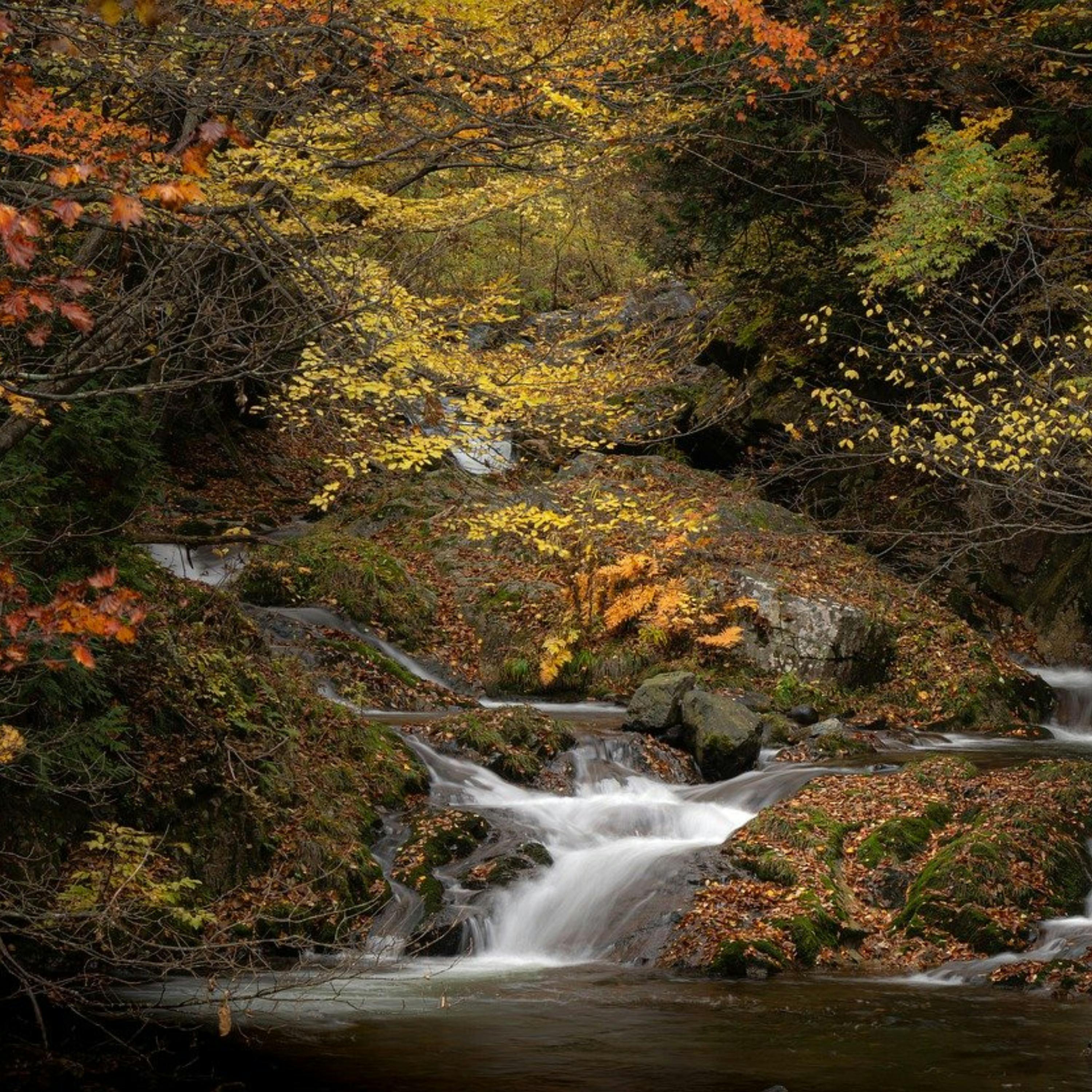 😴💧🎵 Sonido Apacible del AGUA y Armonía MUSICAL, Dúo Perfecto para una NOCHE Tranquila
