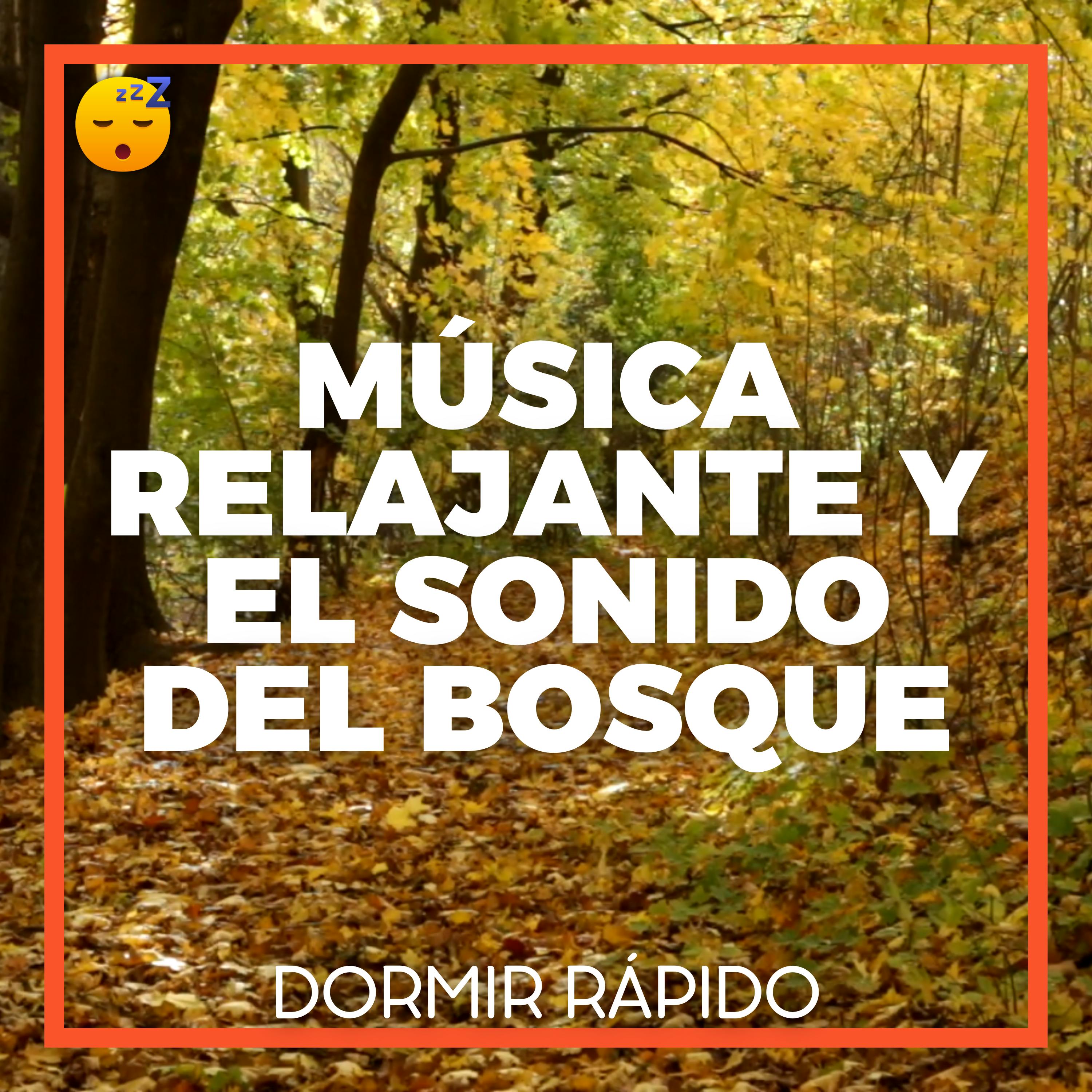 😴🍂🎵 MÚSICA Relajante y el Sonido del BOSQUE para un SUEÑO Reparador