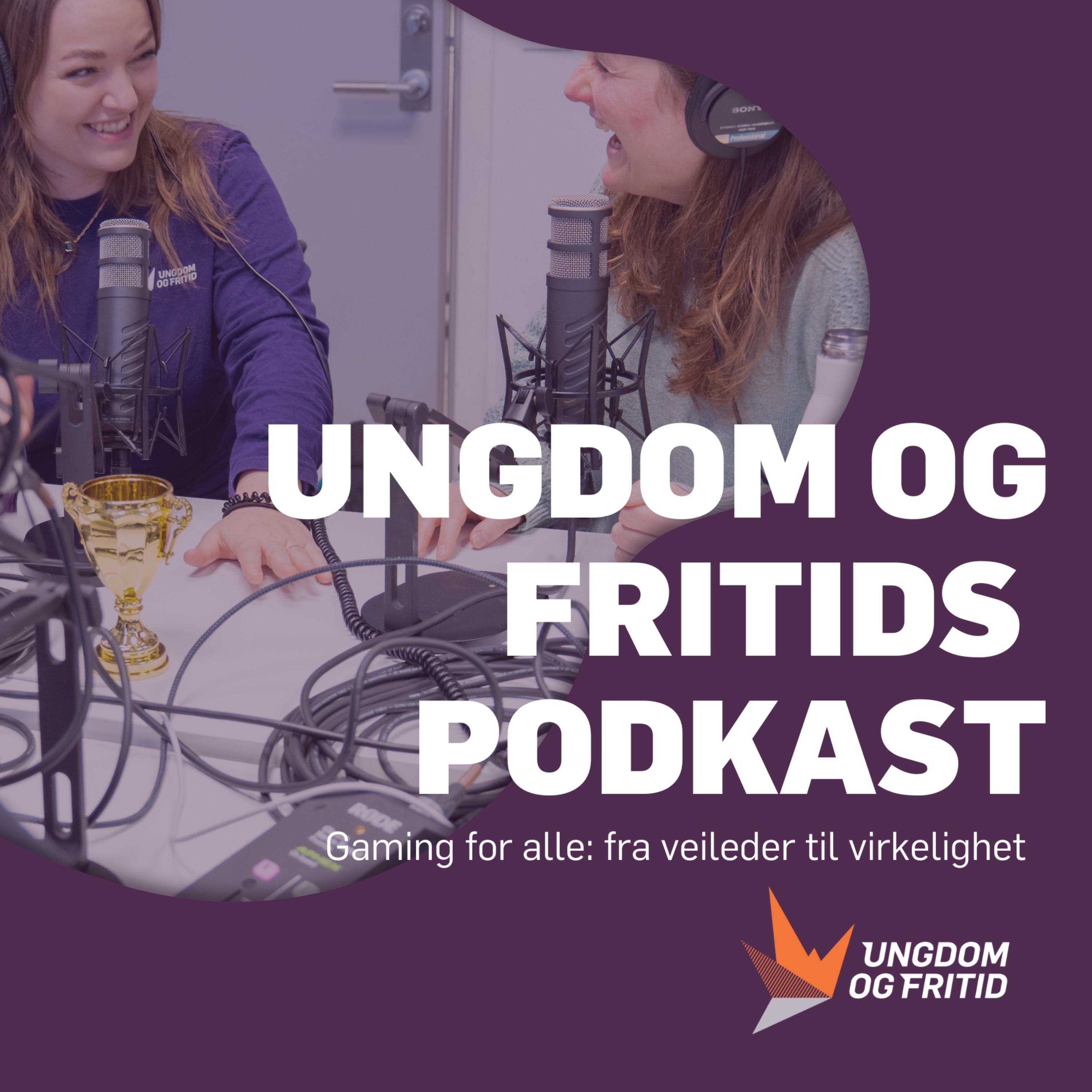 #2 Gaming for alle: fra veileder til virkelighet episode artwork