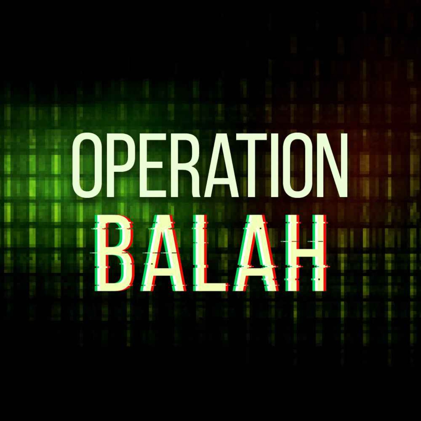 Crime Interrupted - Operation Balah