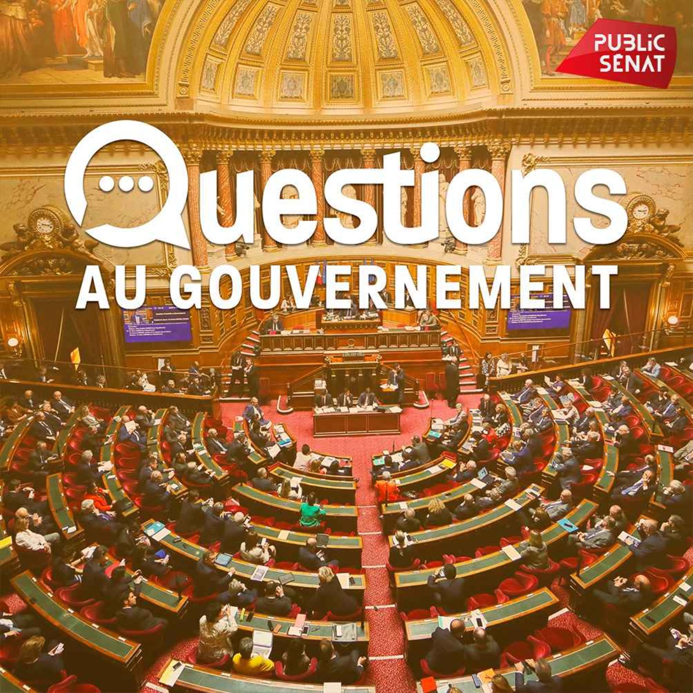 Questions au Gouvernement podcast artwork