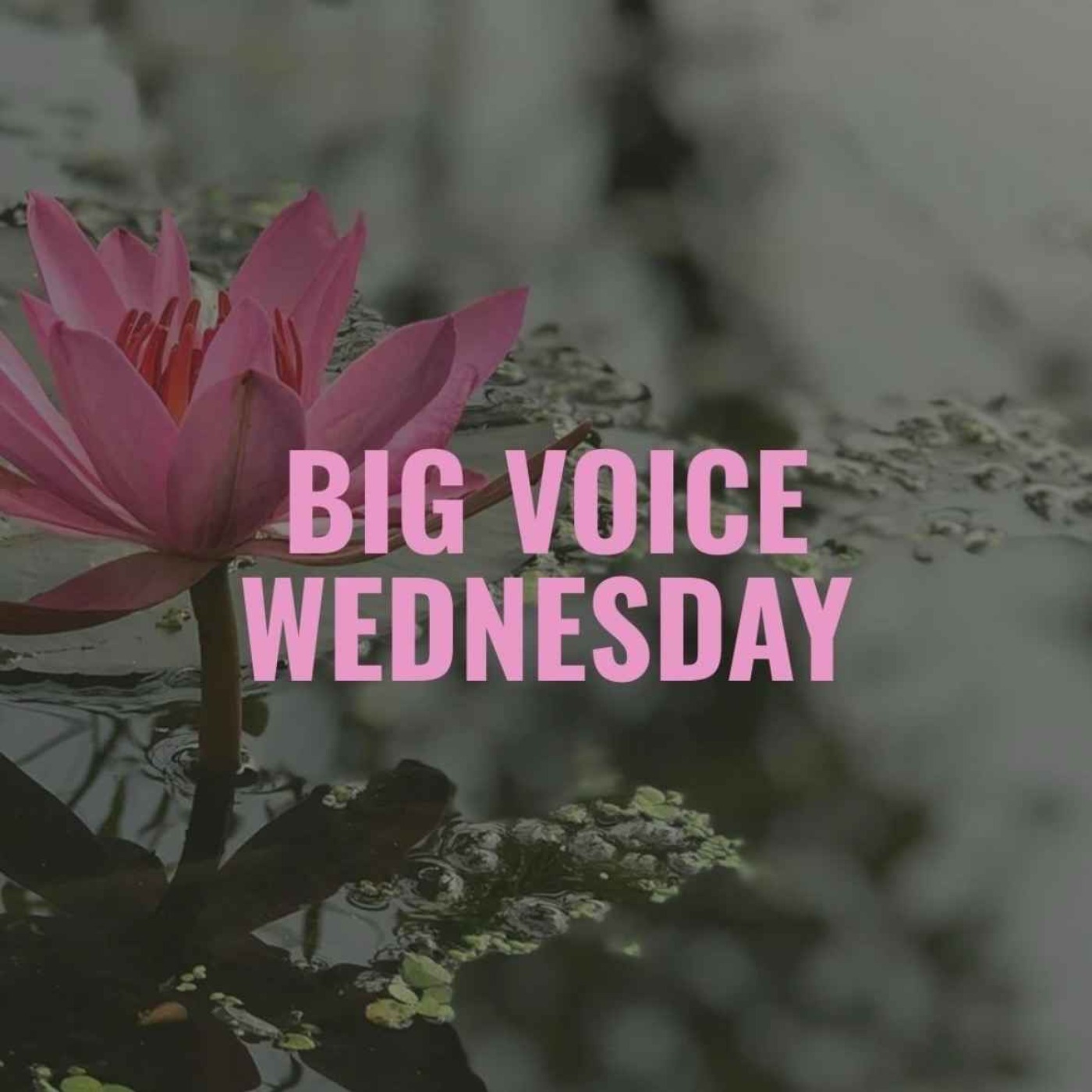 Hope, Humor and the Fight for Truth | Big Voice Wednesday artwork