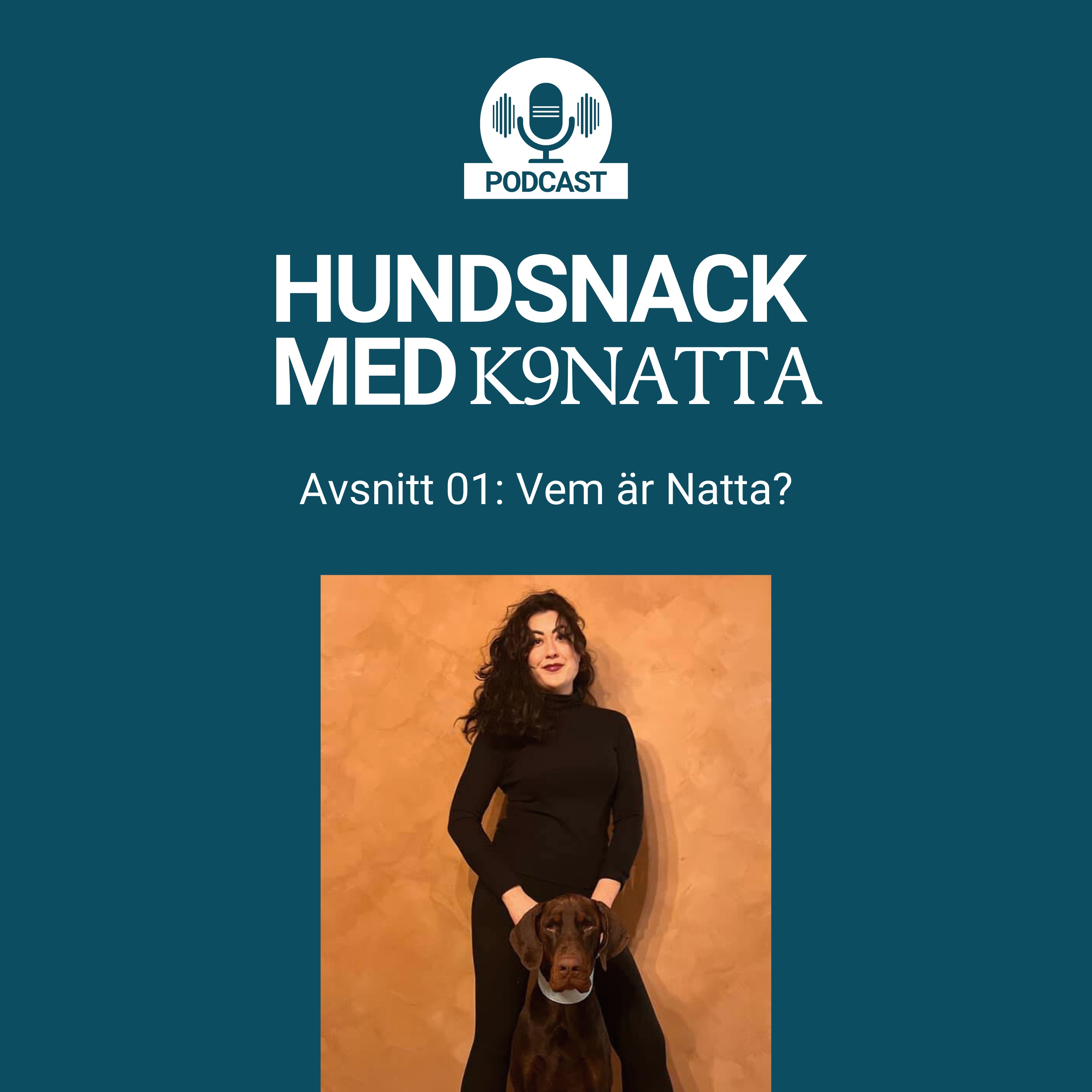 Vem är Natta? episode artwork
